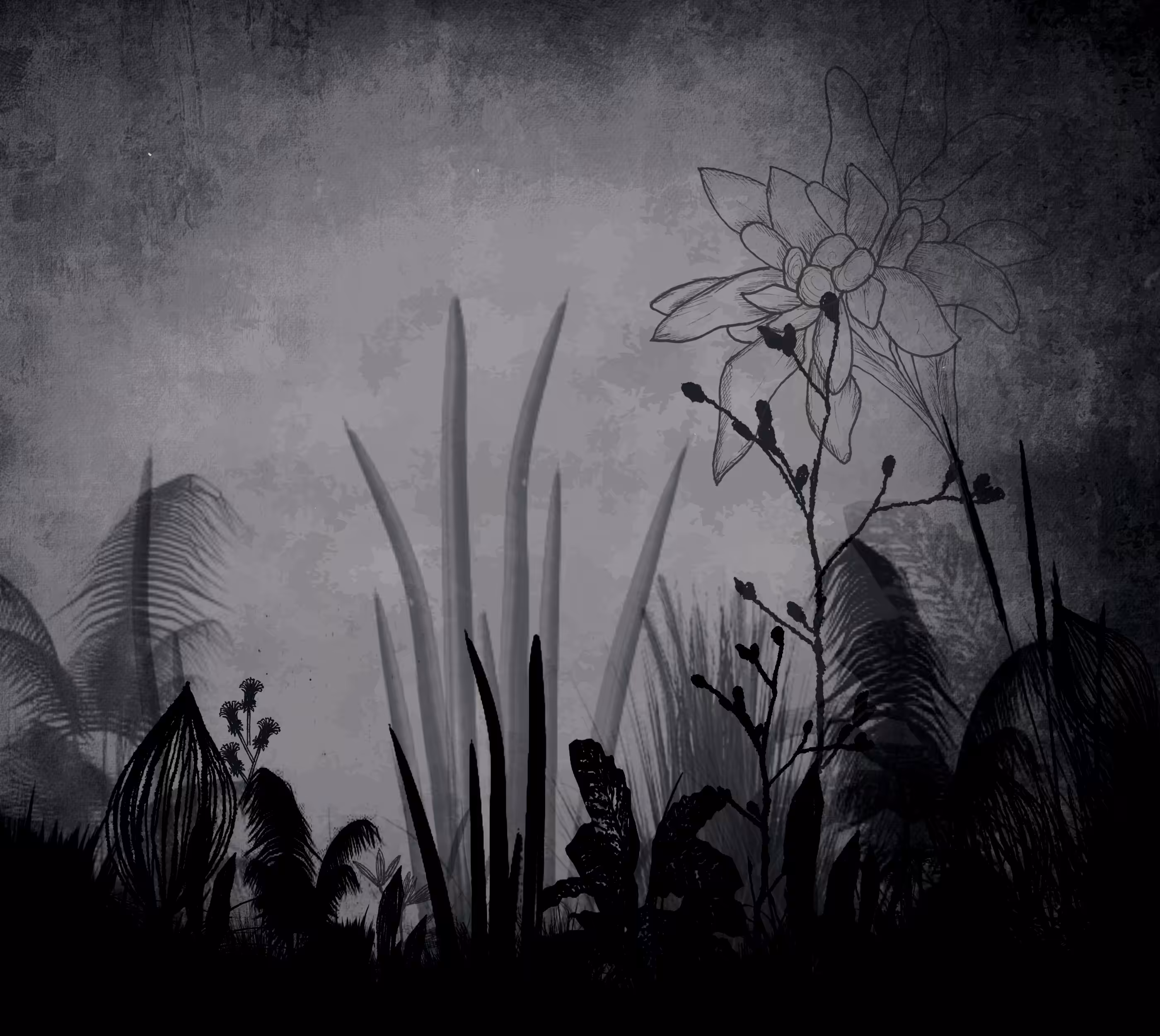 Natural Garden Anna "@artmonochrome"