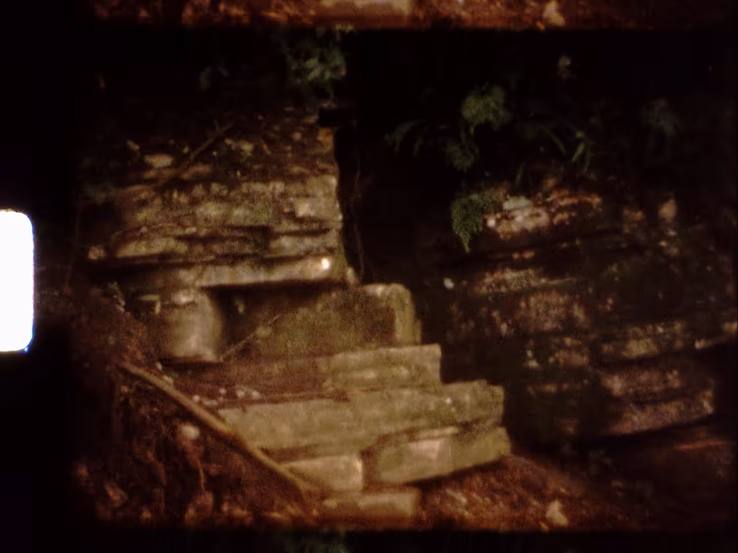 FREYJA SNIPPET II