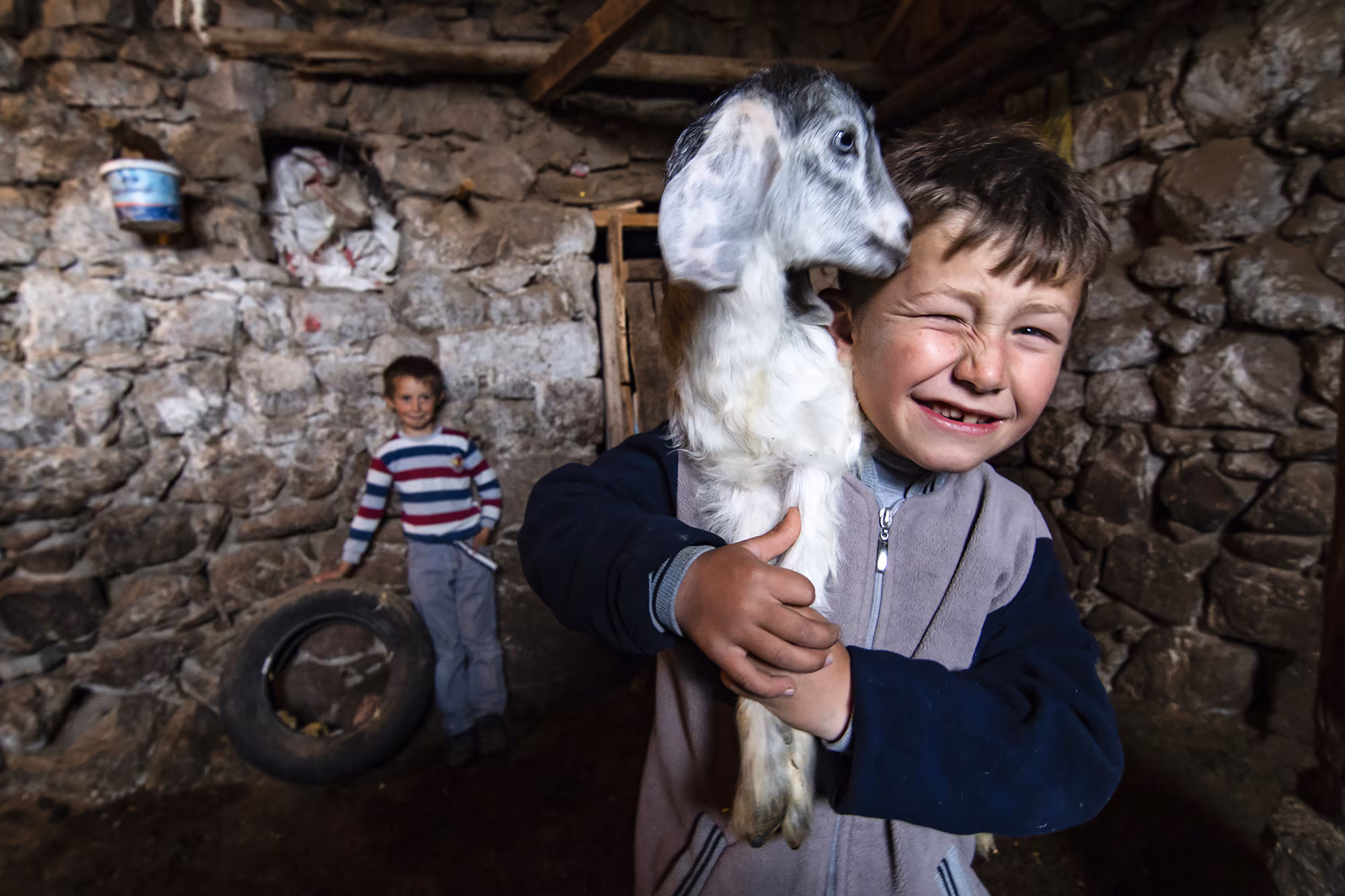 The Lamb and the Children