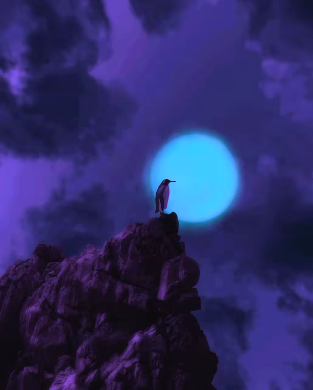 D R E A M E R 