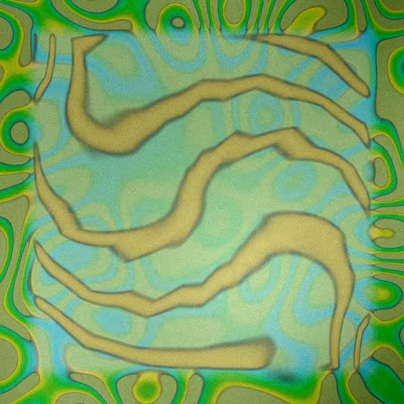 Nature Force #120