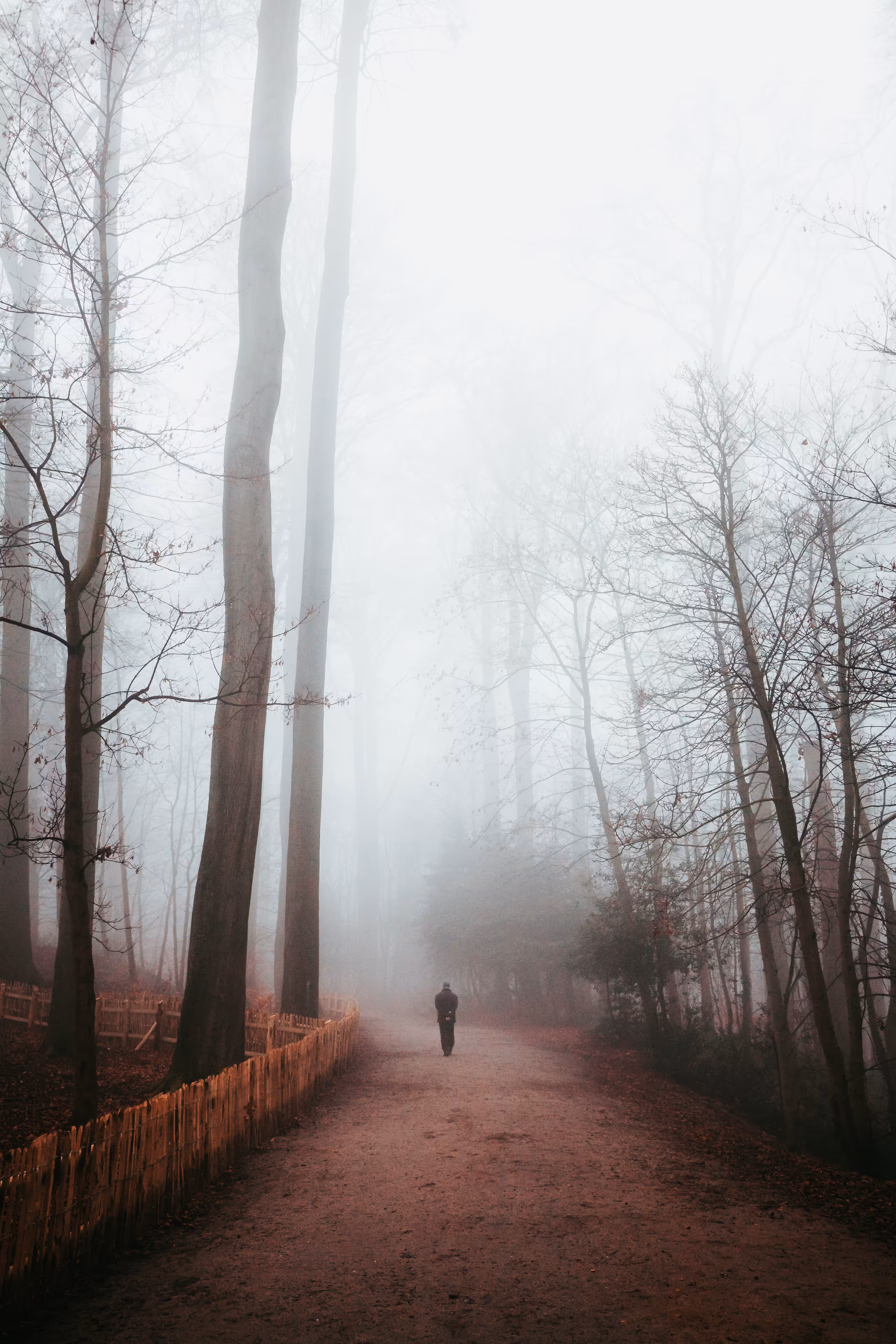 In my solitude