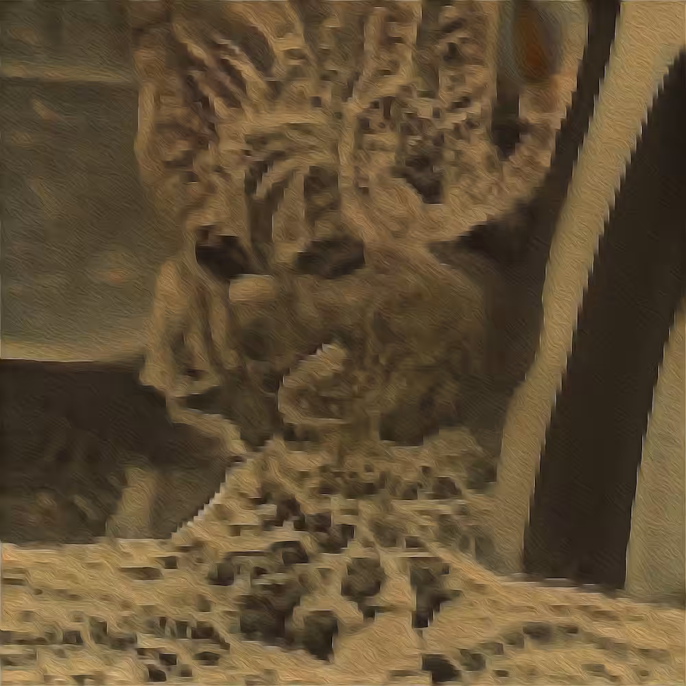 Not a lion #1