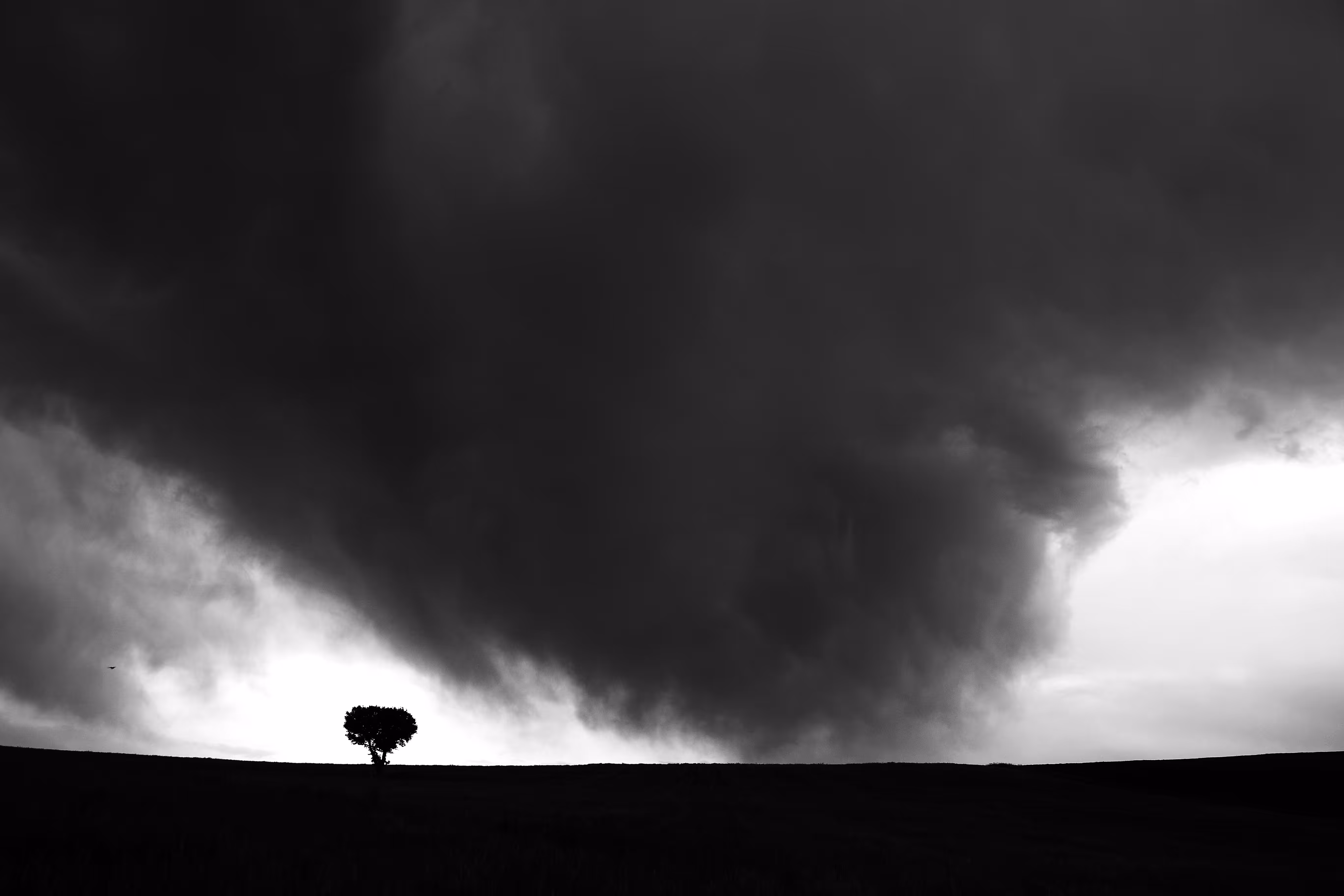 Standing in the storm