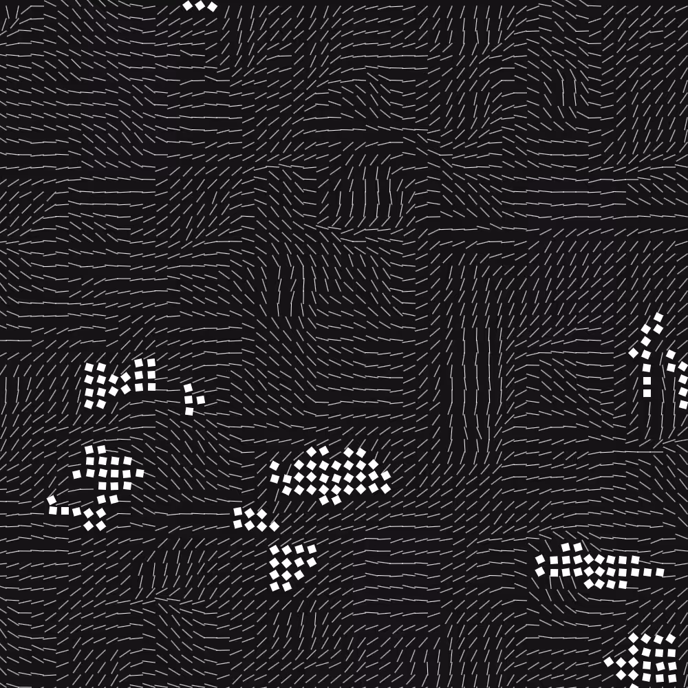 Geometric Fluidity #562