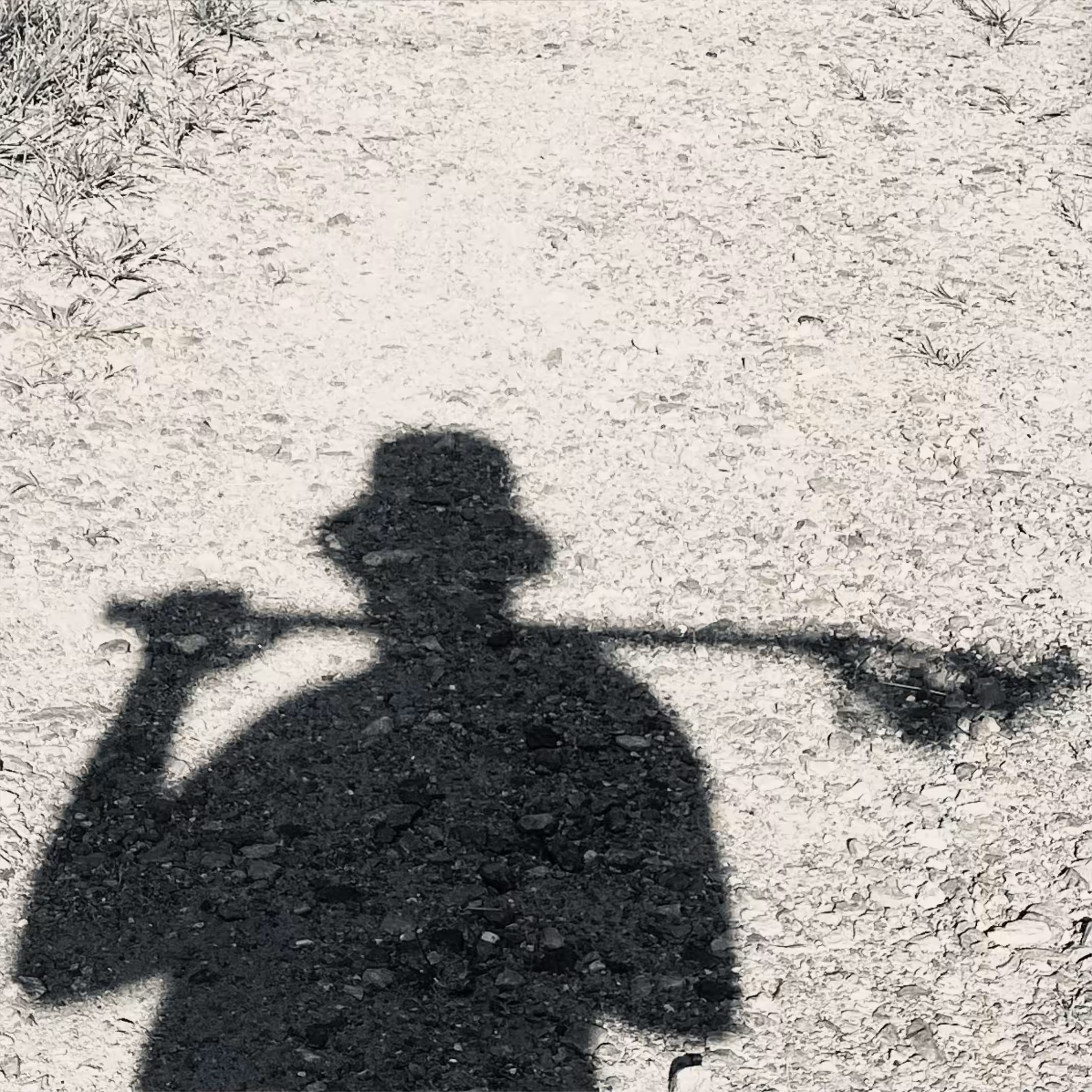 Untitled: SHADOW PLAYS