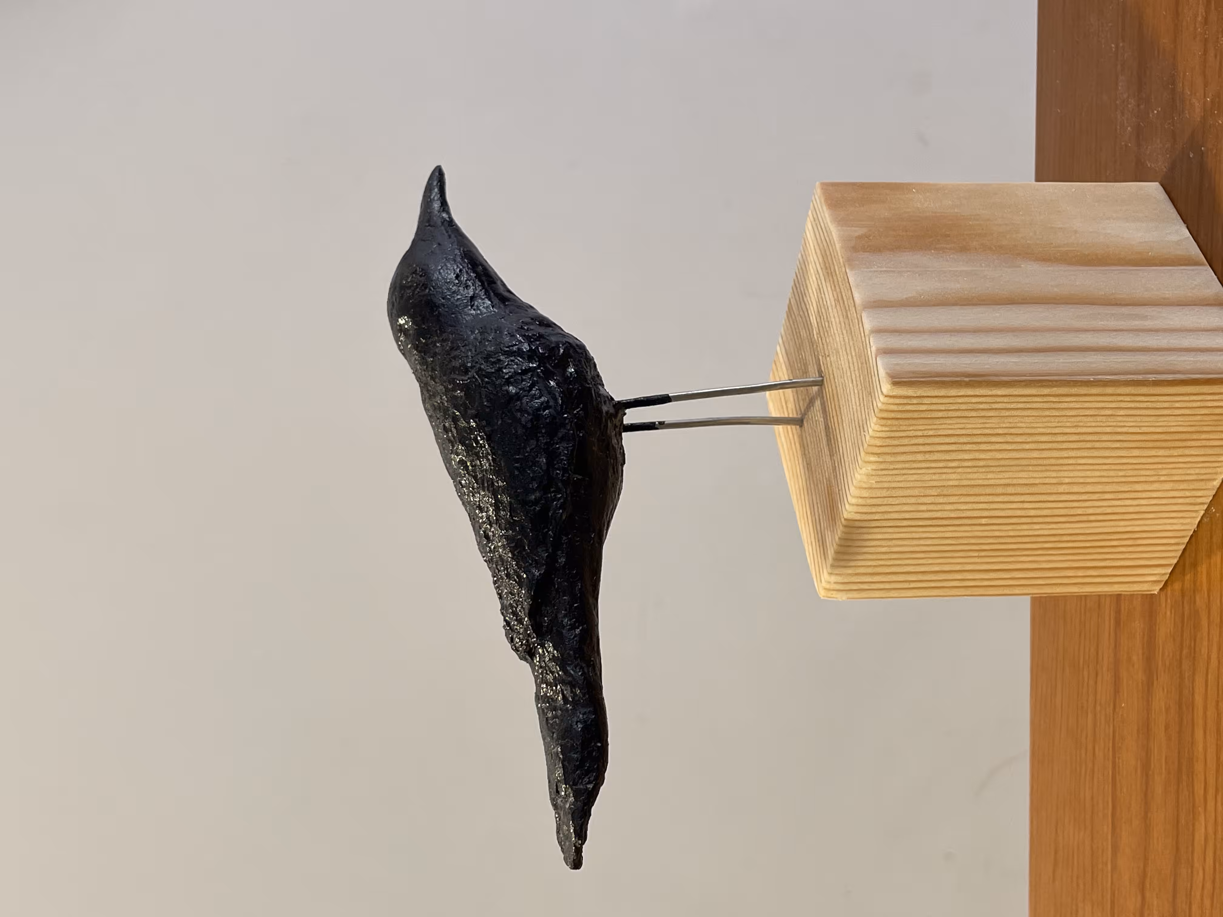 Crow
