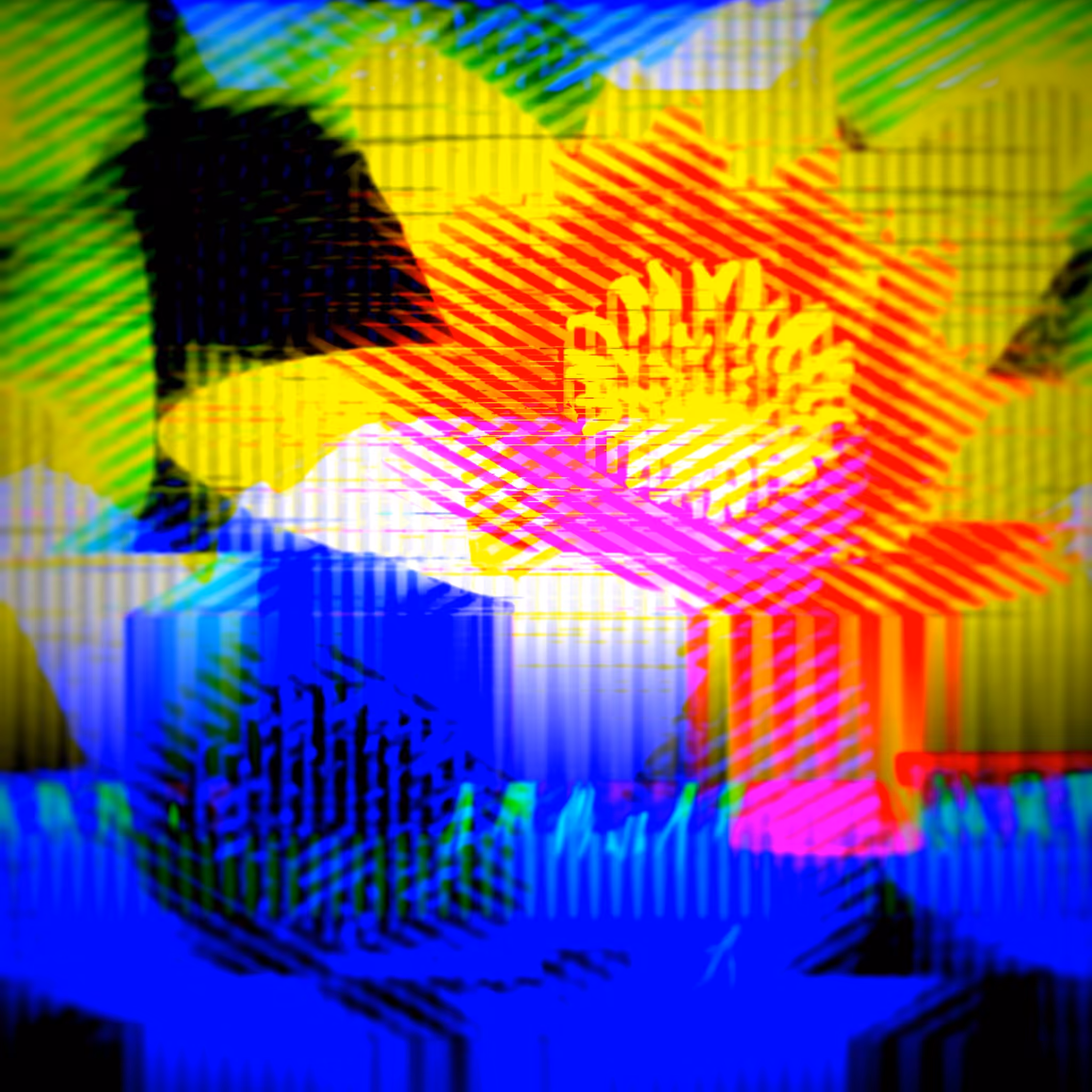 loti are leaves