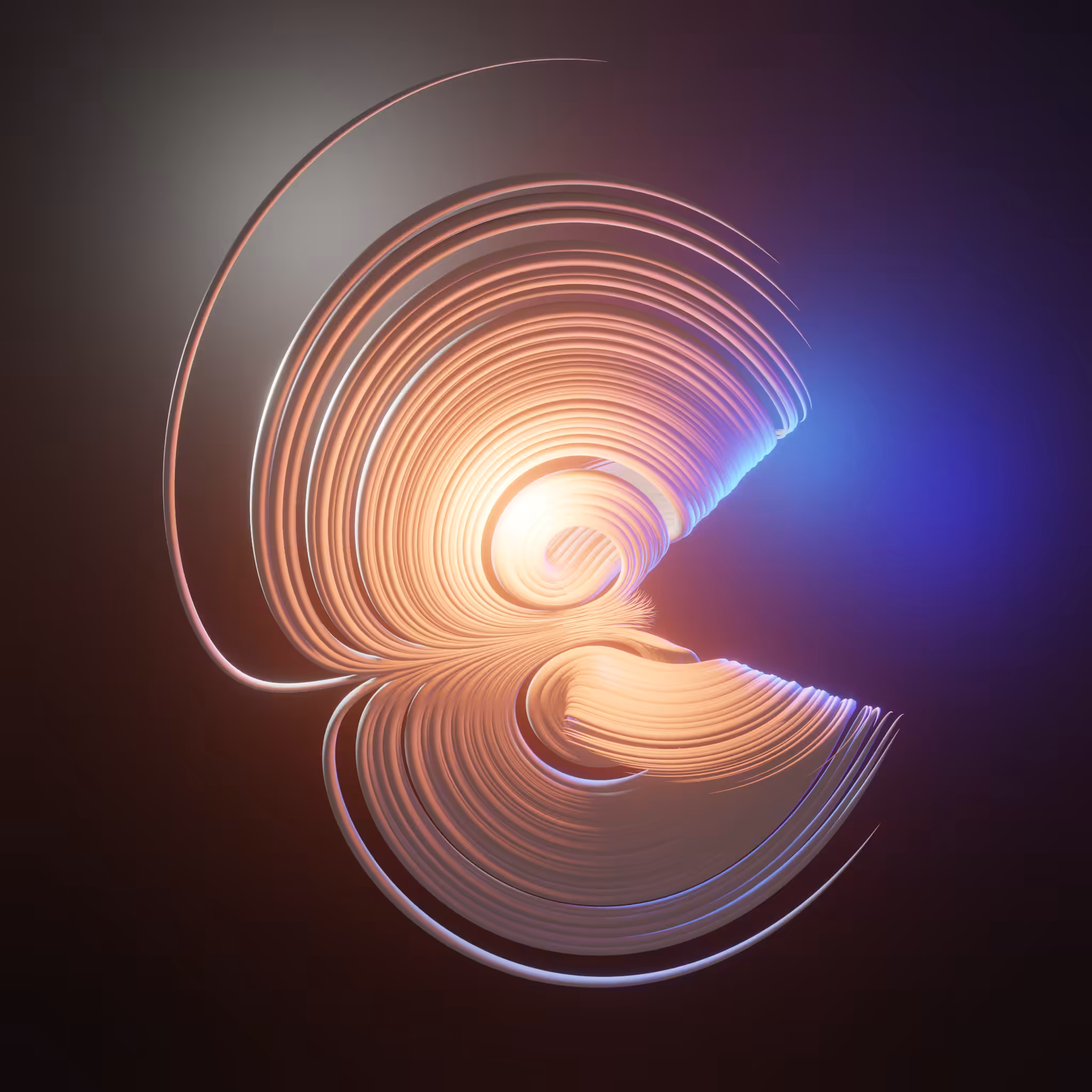 Lu Chen Attractor #1