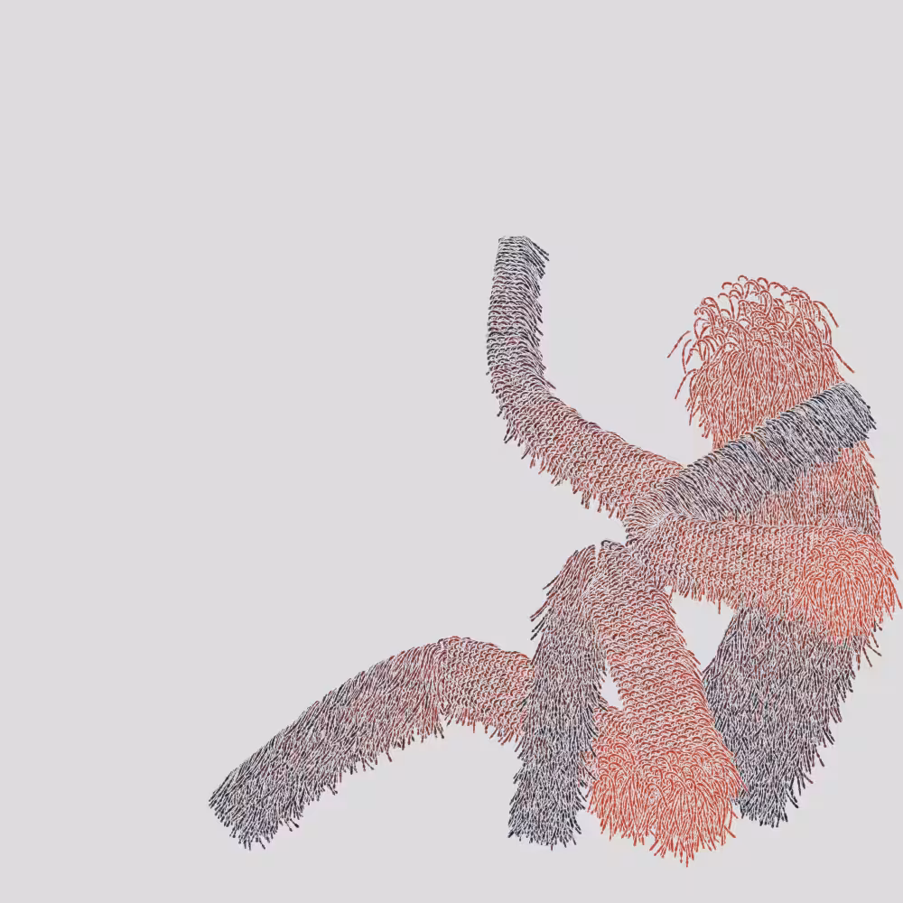 Hairy Thing - Lean