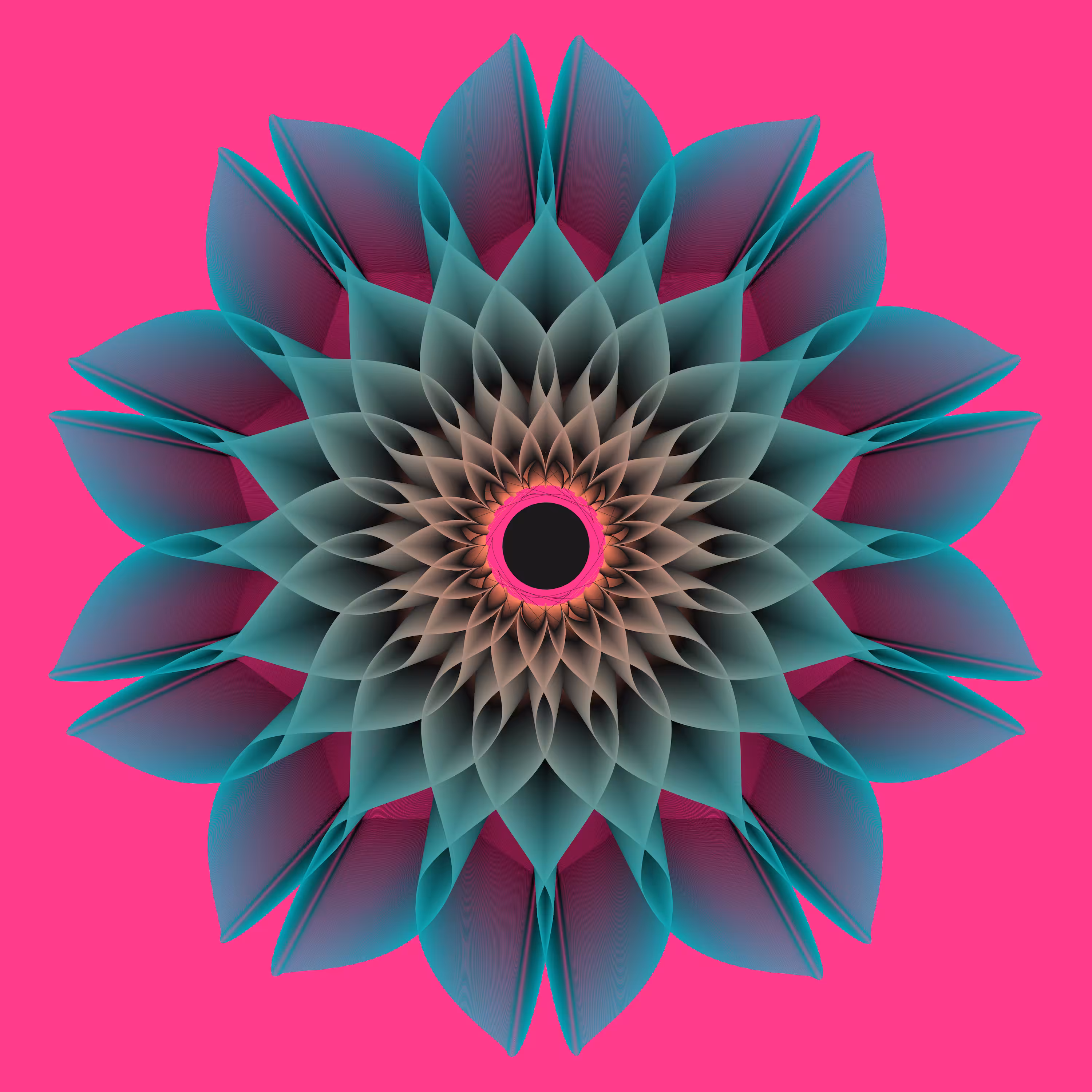 Blossom