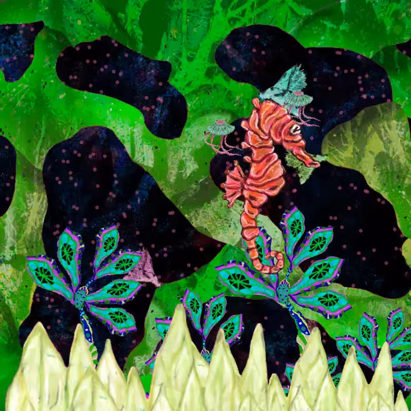 The Orange Seahorse