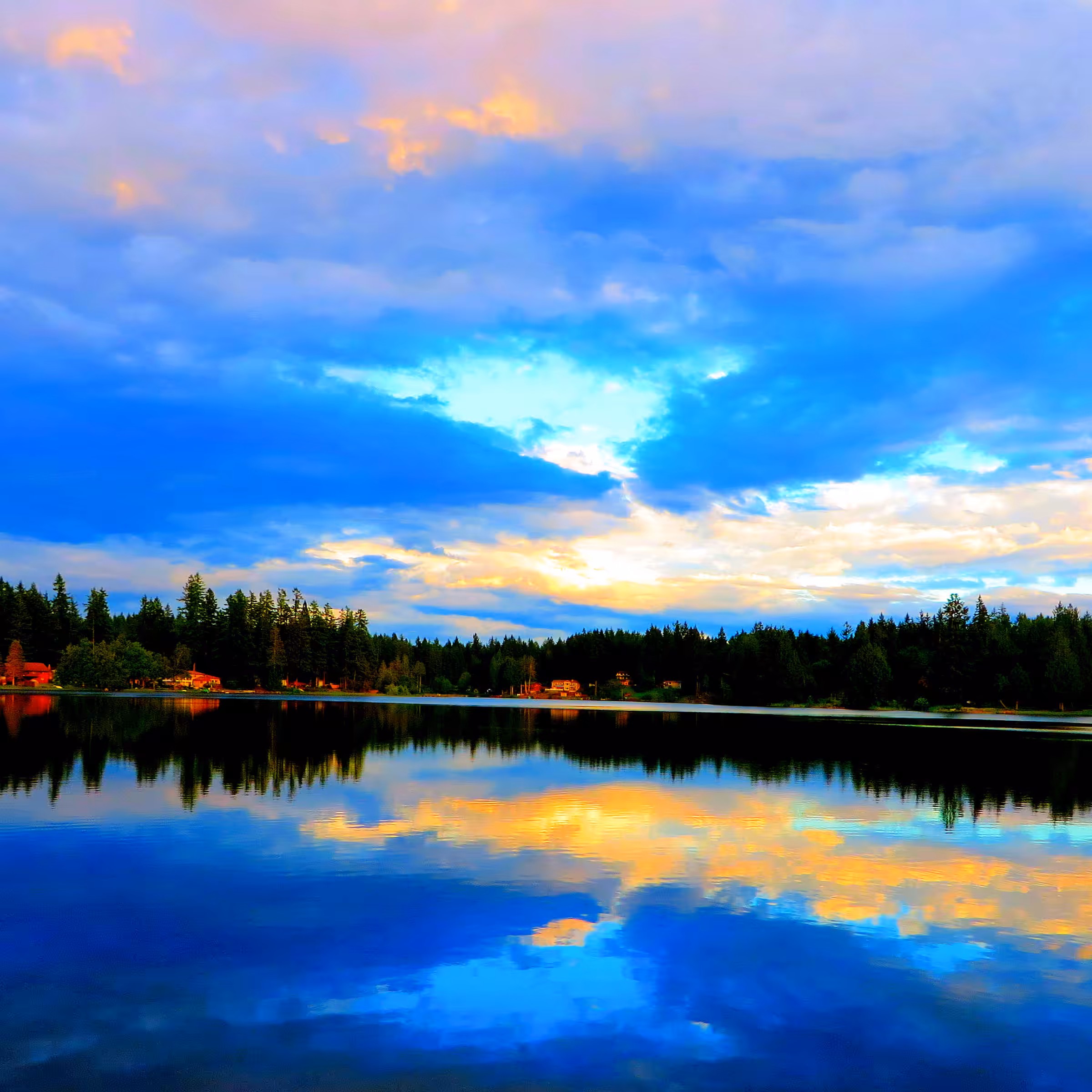 Edited Landscape #4
