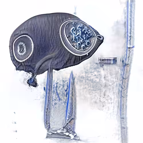 Fountain 0000476