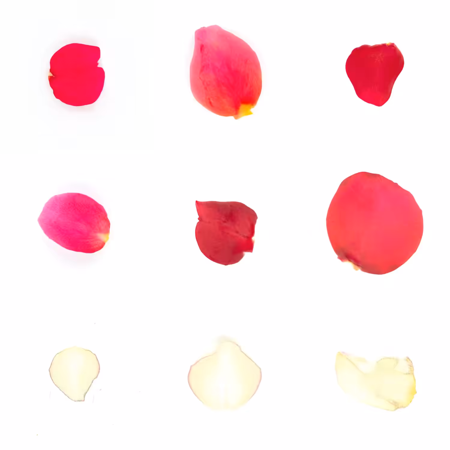 Infinite Petals 3x3#20386