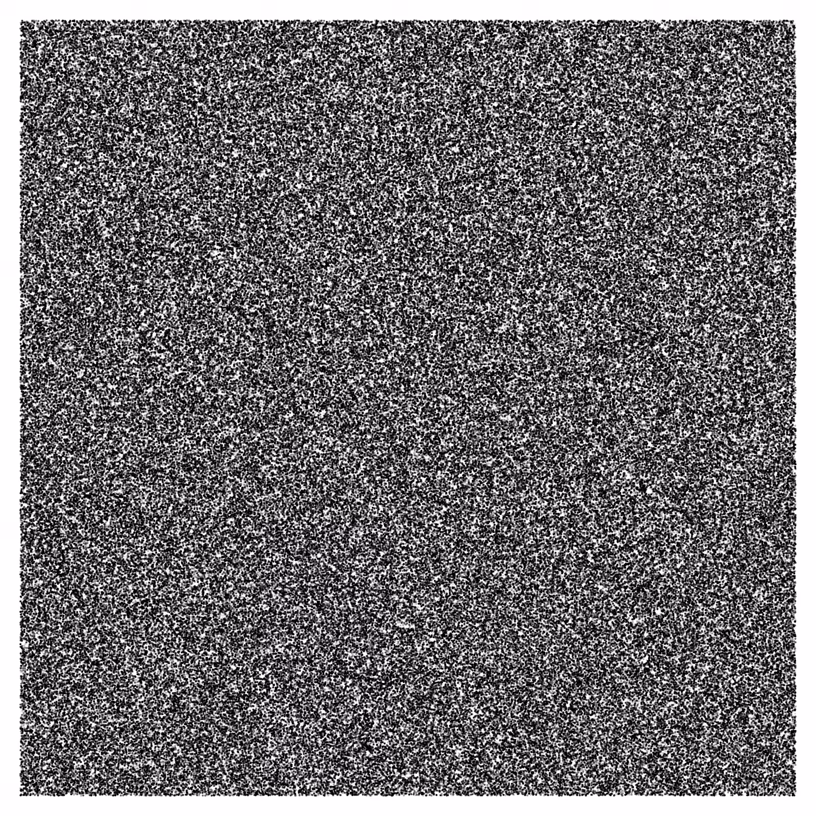 Noise #53