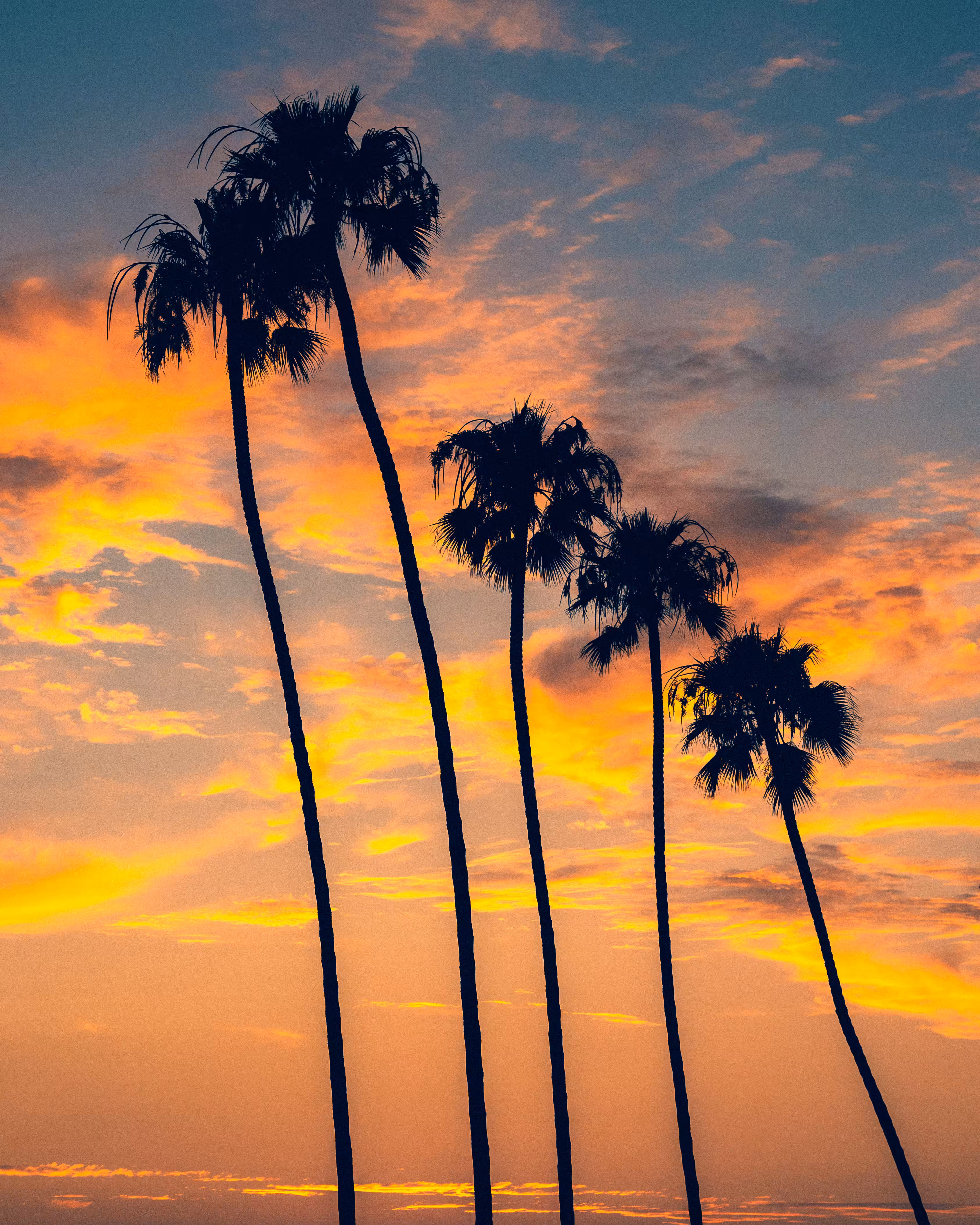 Beach Boulevard: #45: Sunset Squad