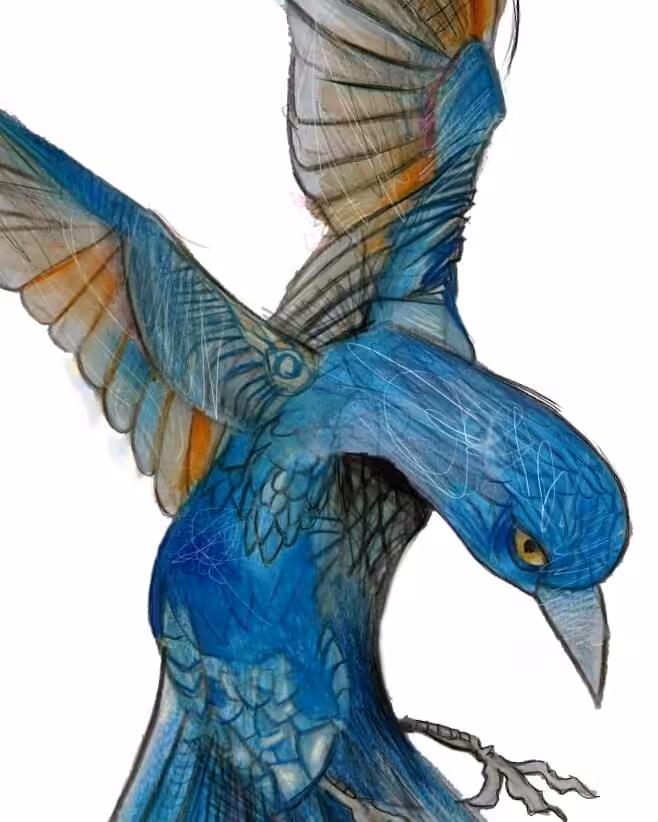 Non Whit Bird