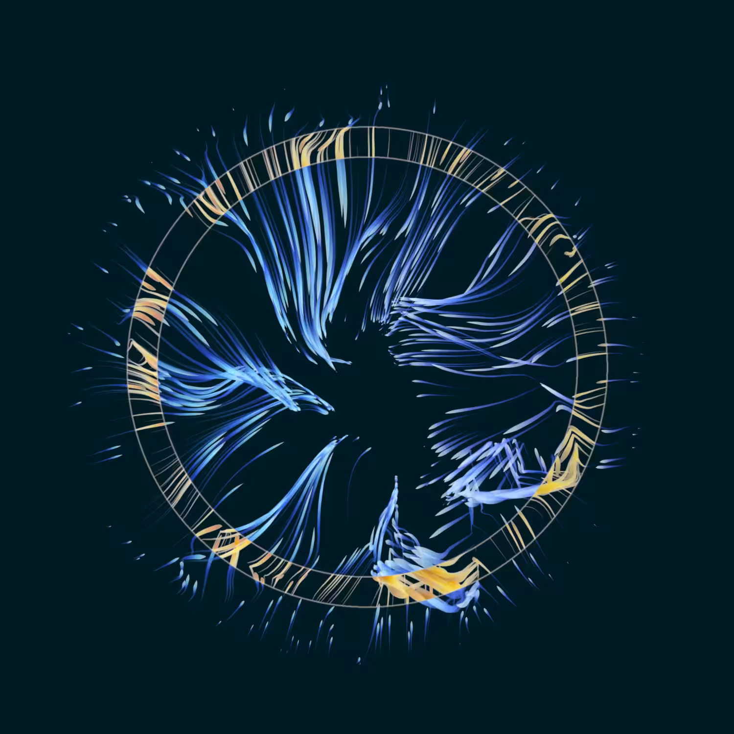 Vortex #1165