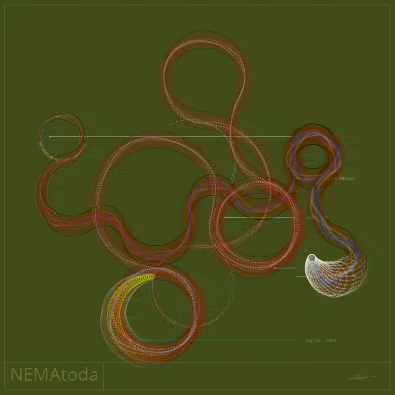 NEMA #44