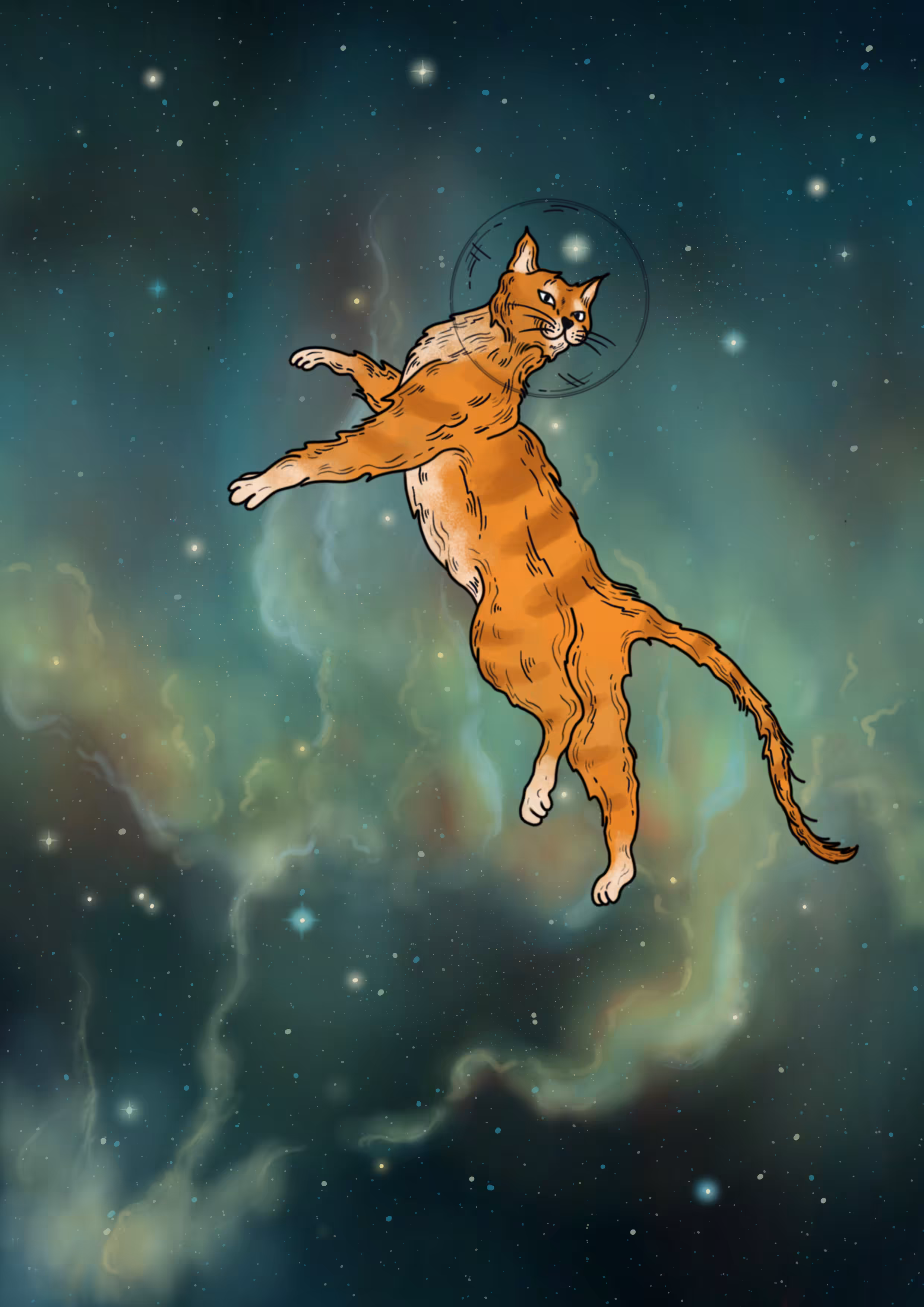 Cool Cat