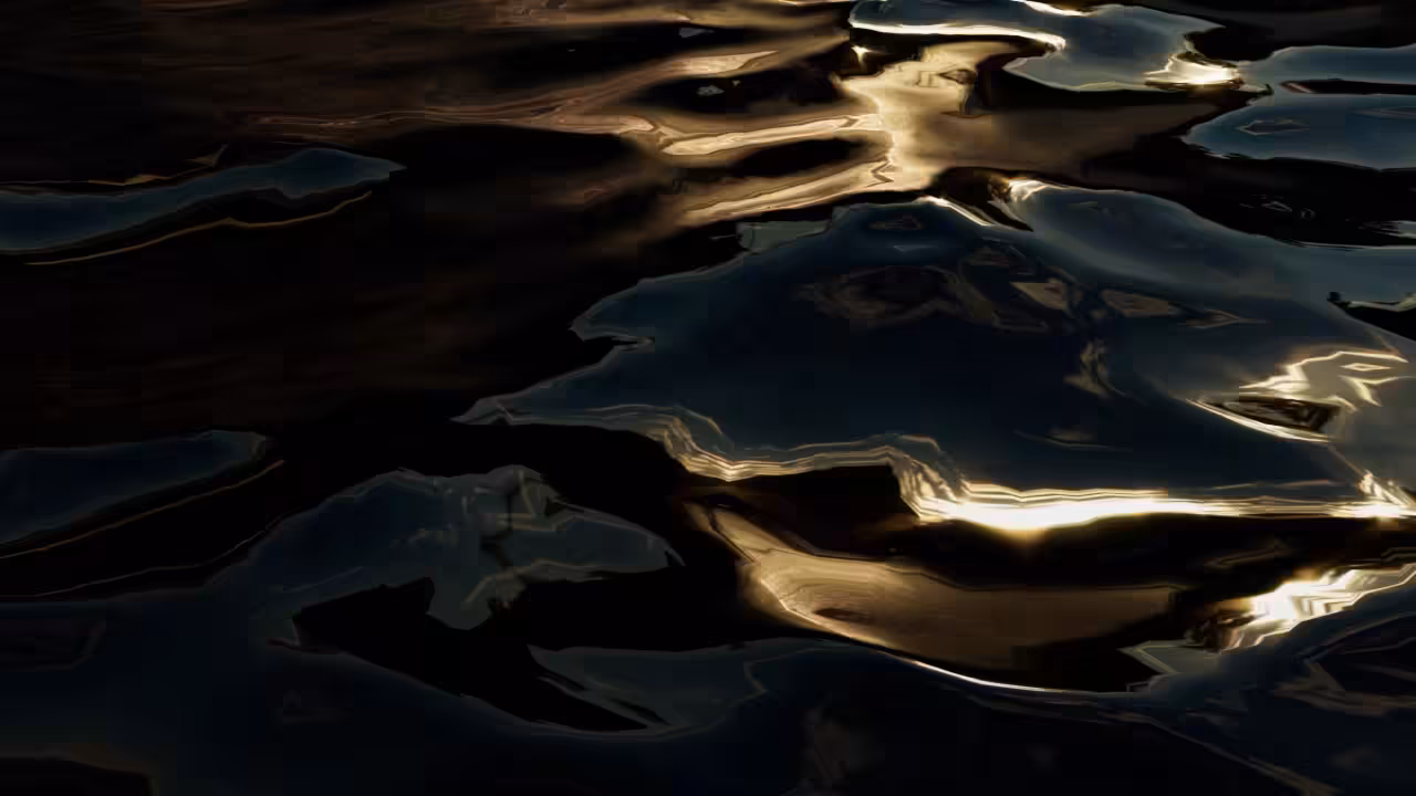 "Wild Voxels 11": "One ocean"