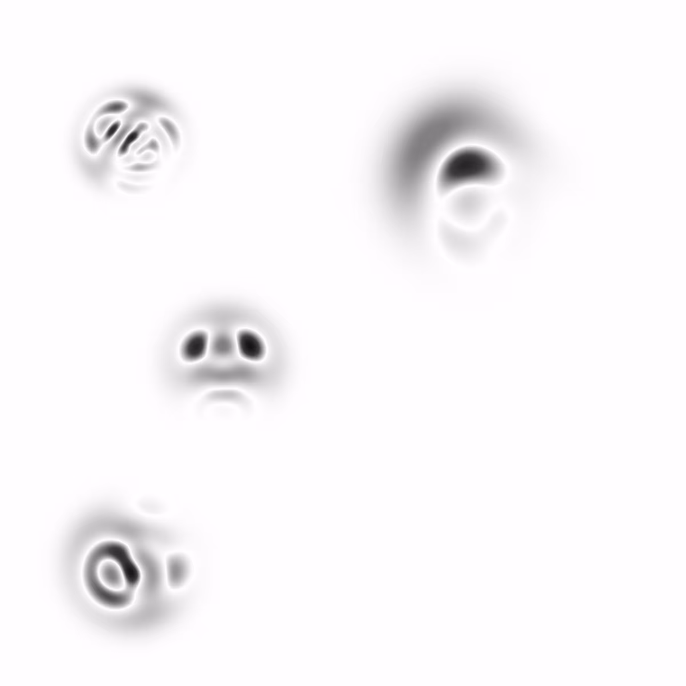 Quantum Collapses #283