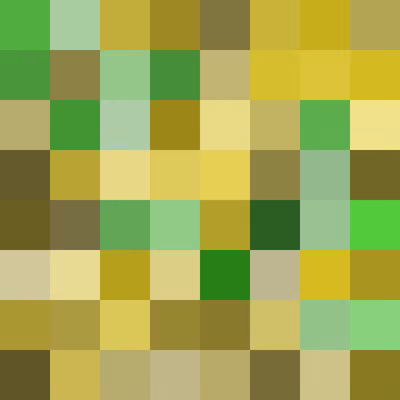 SandBit #5
