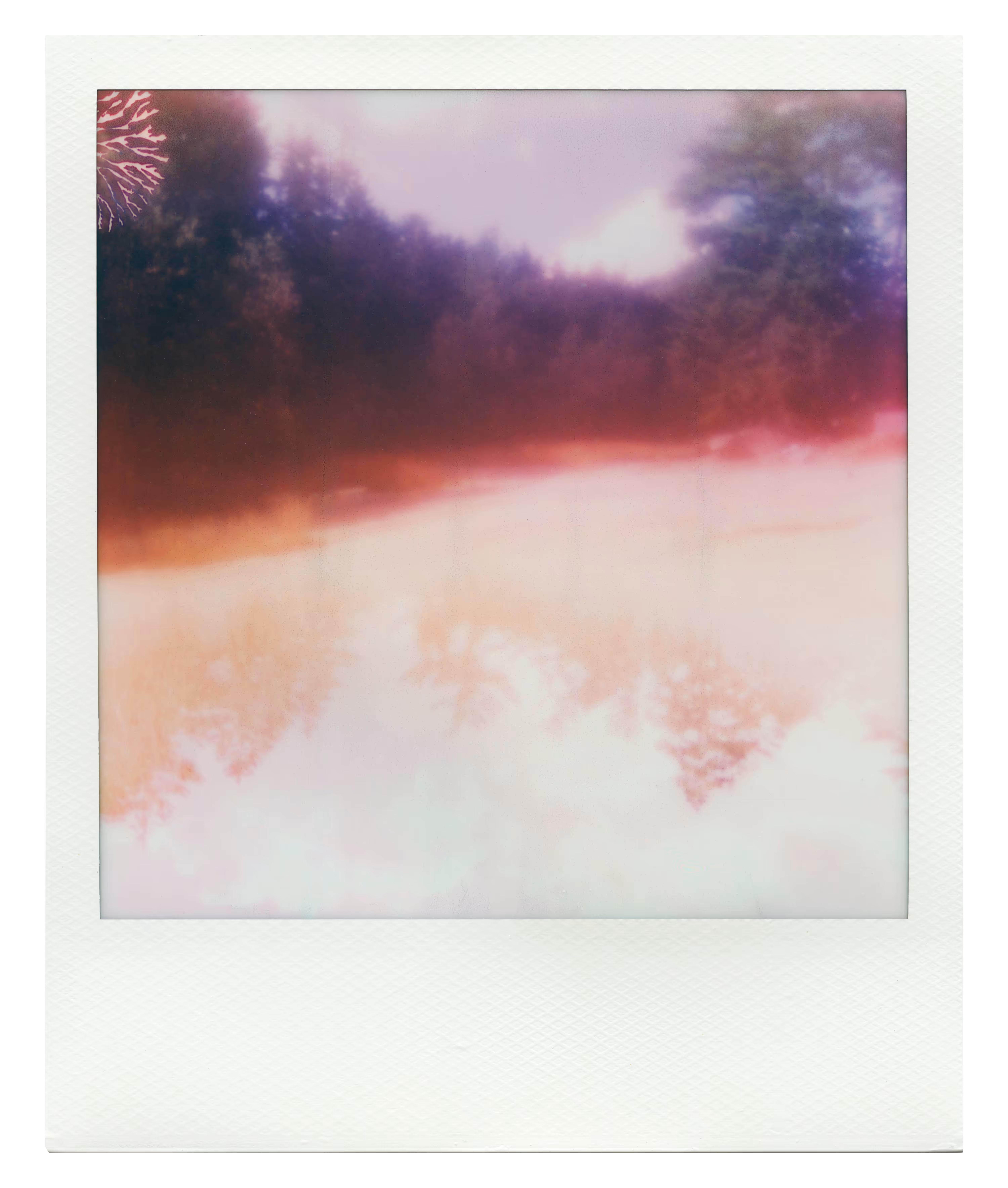 Endless Summer  |  51  | Manifestation