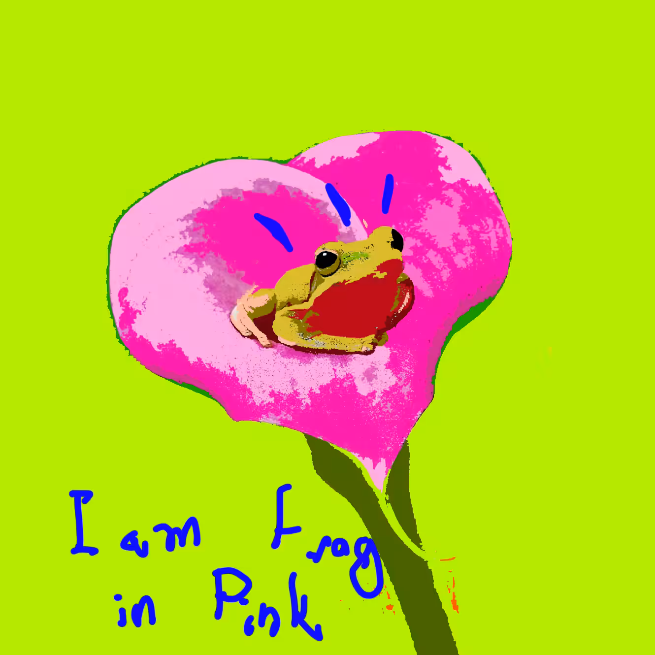 Frog in Pink
