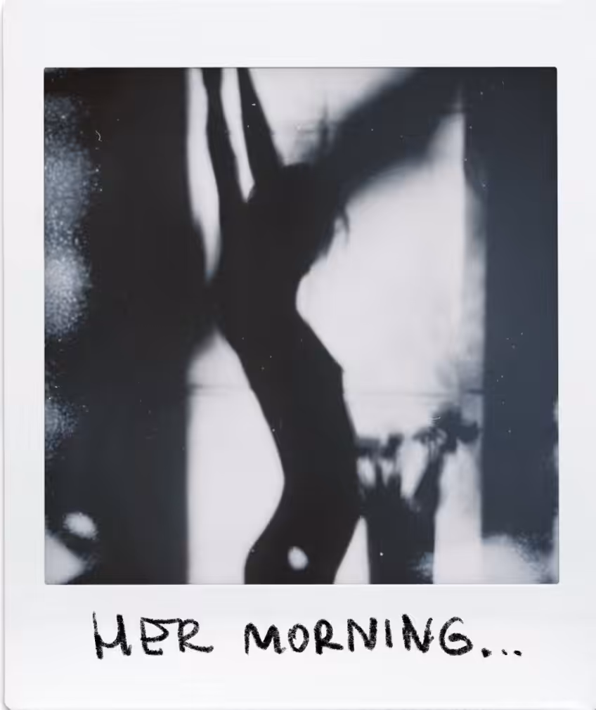 Polaroid 113