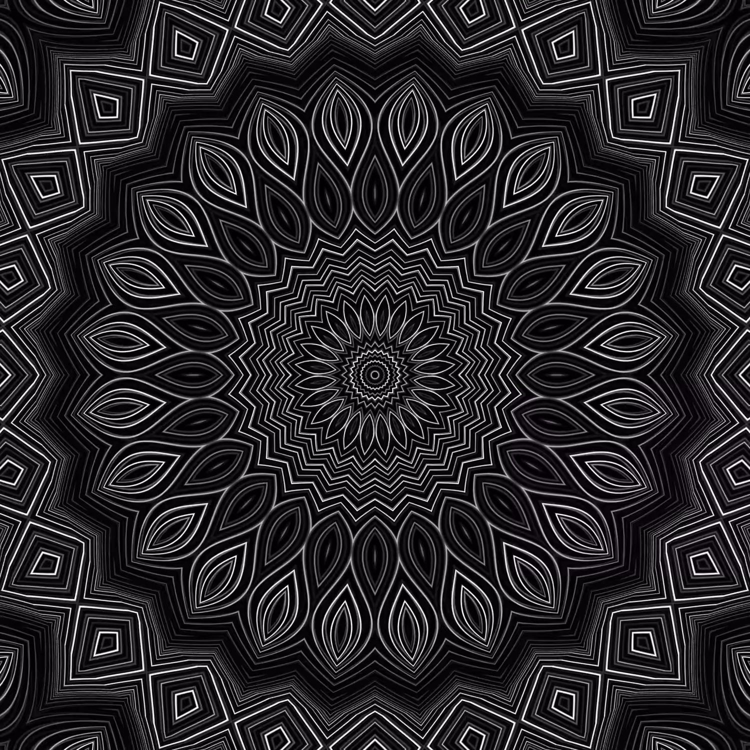 orbital warp 24