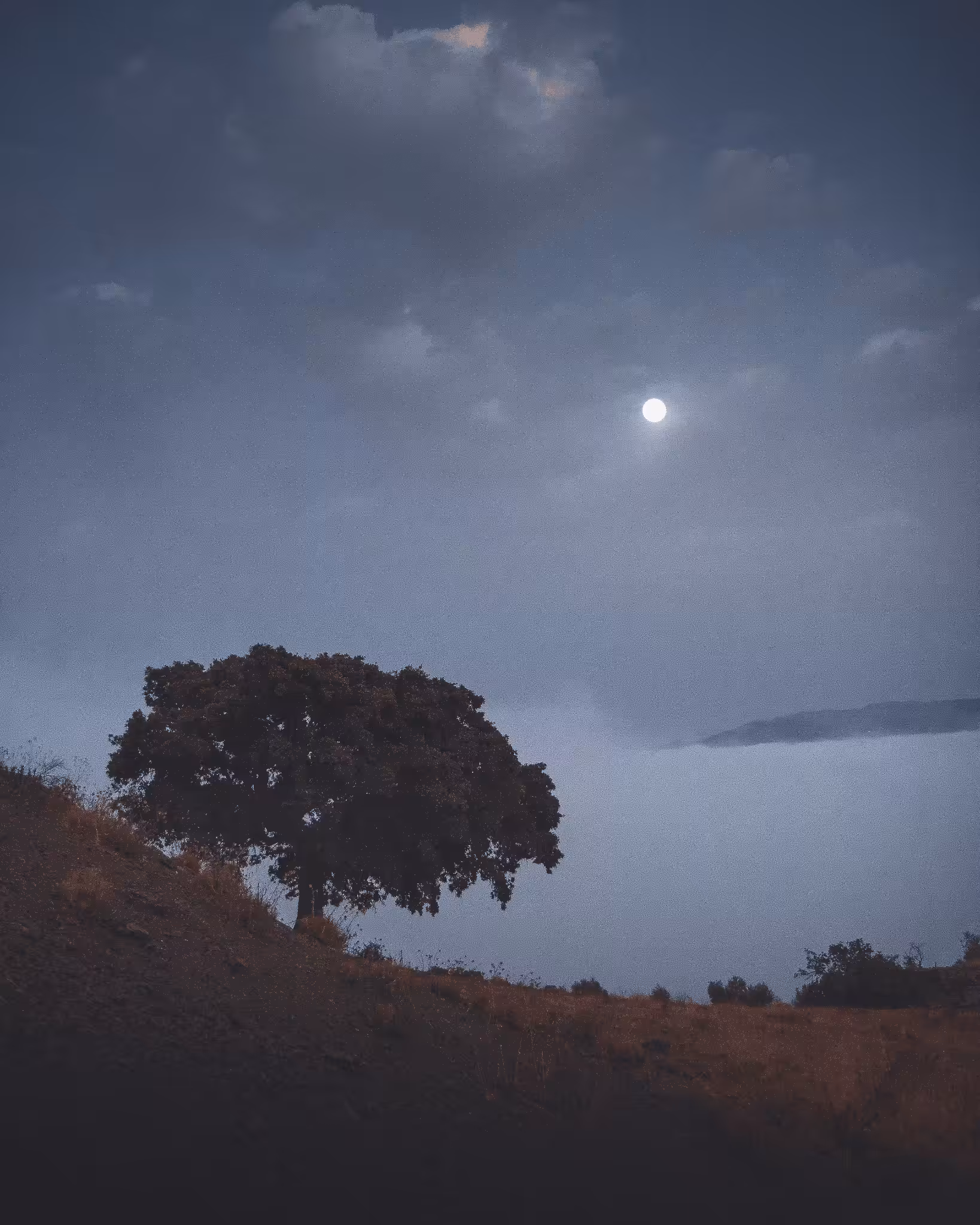 Wander lost