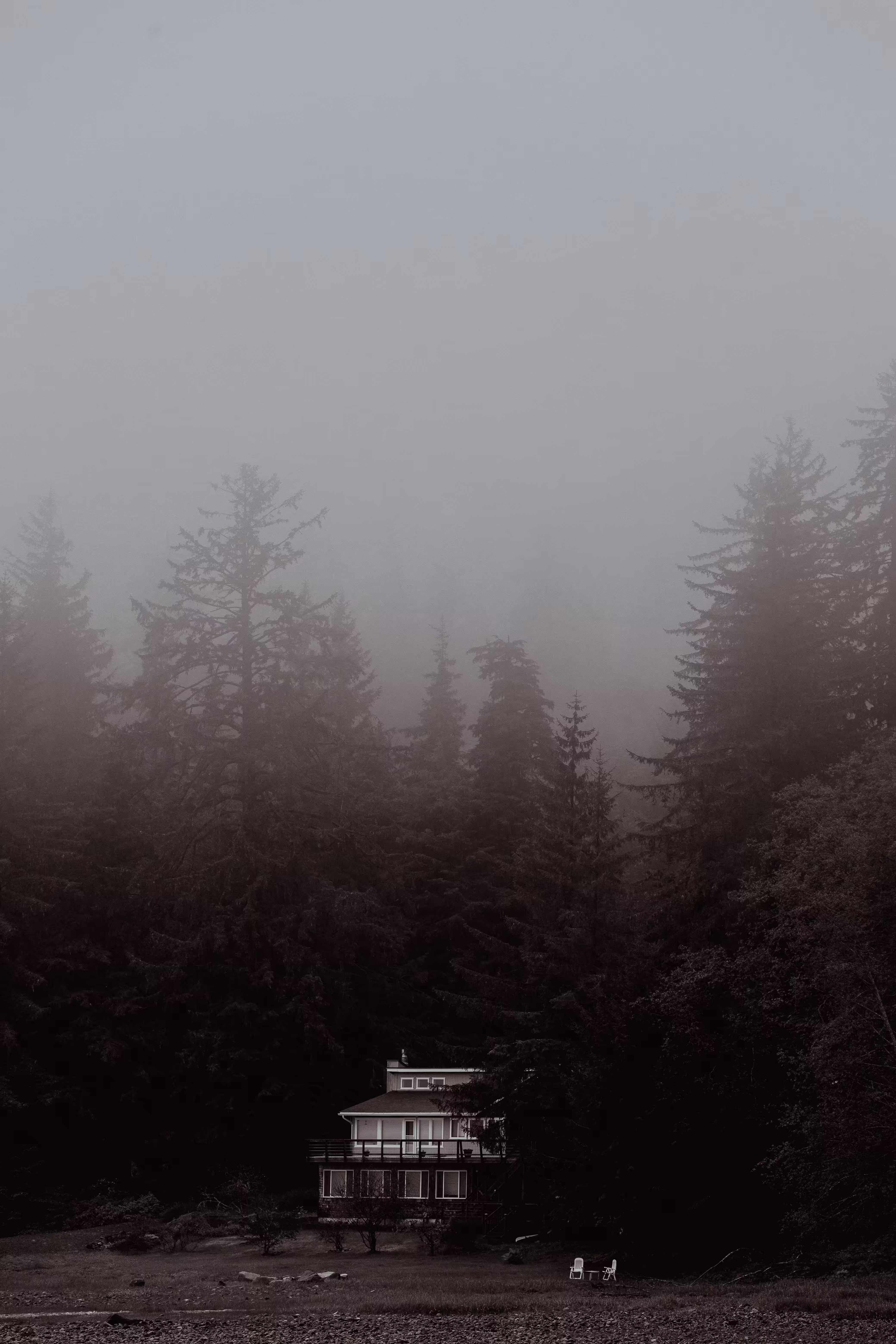 Mentally Fogged 