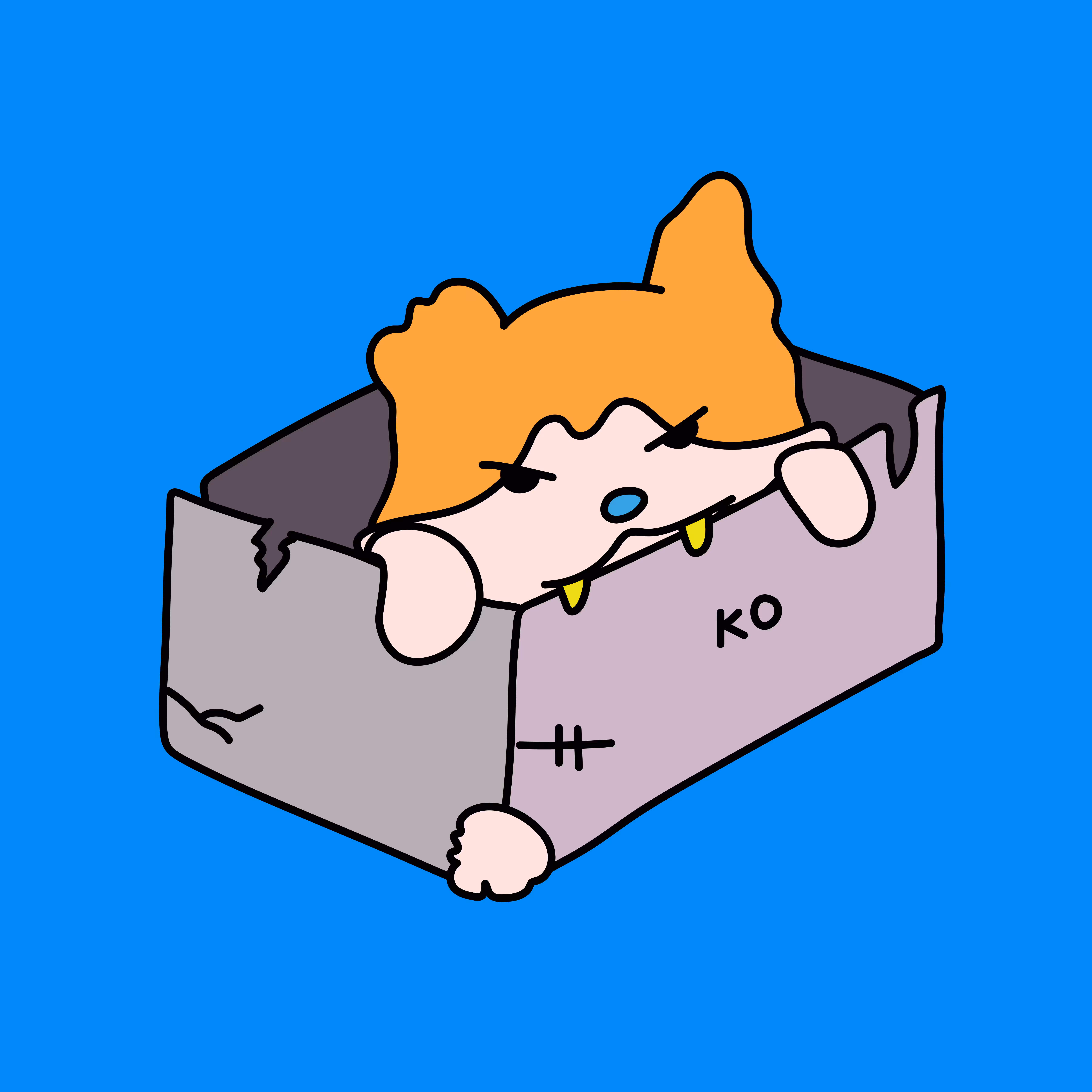 A Strayed cat named KO #7