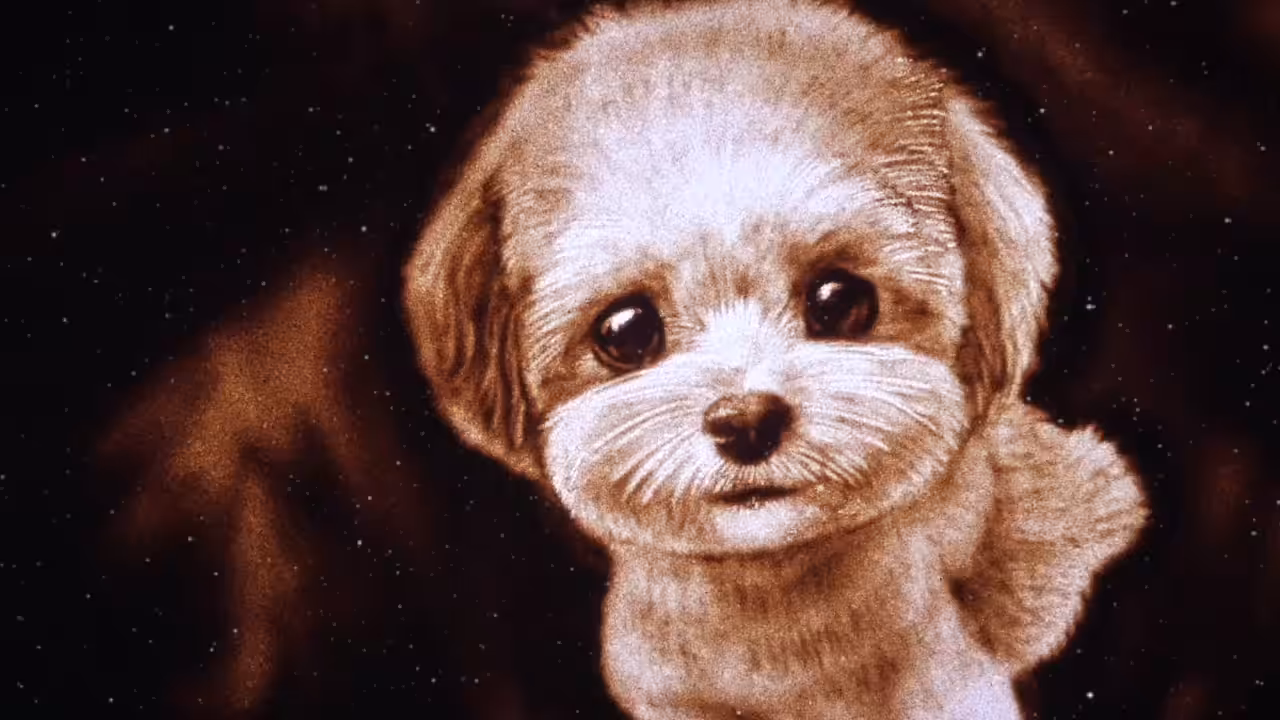 Puppy