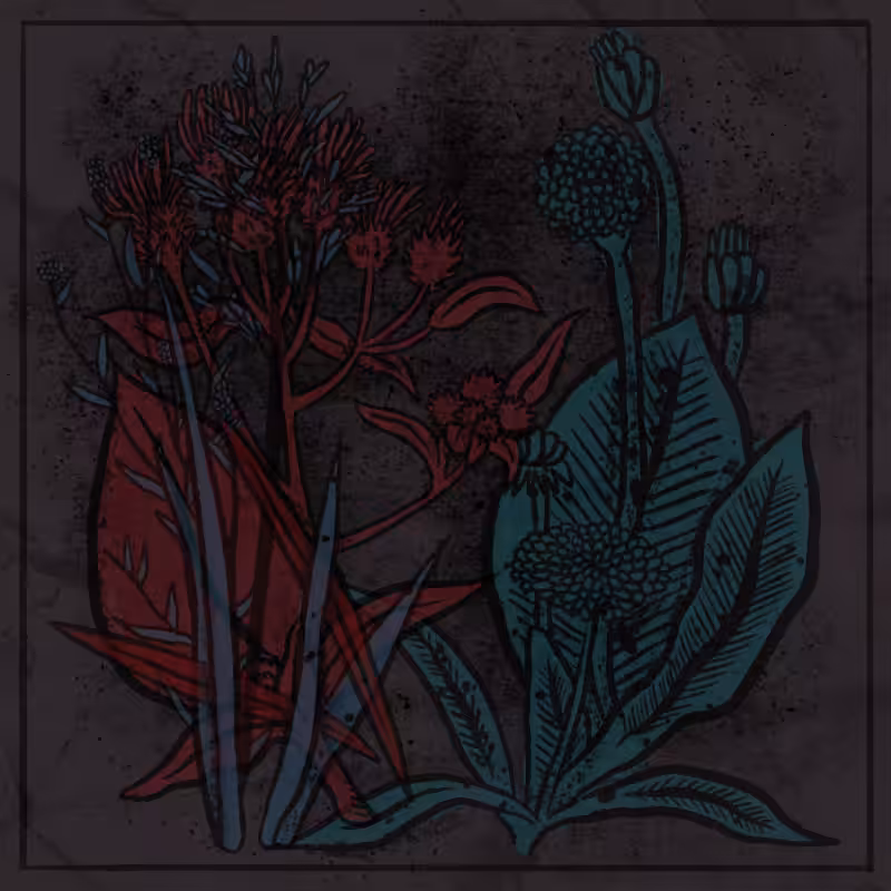 Bouquet #63