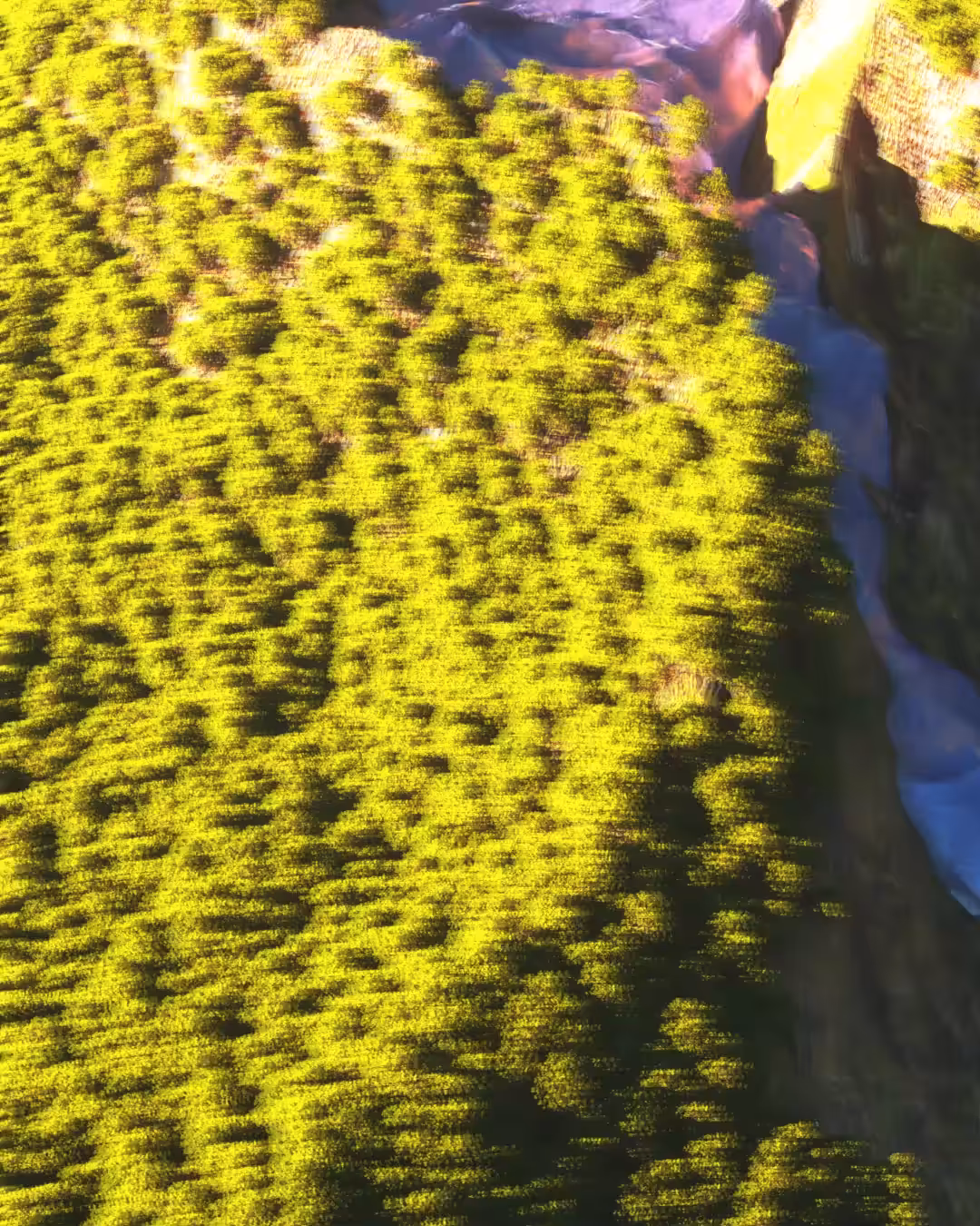 MAJESTIC WATERFALL #1