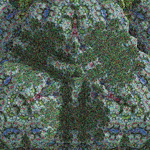 Lichenoid forms #22