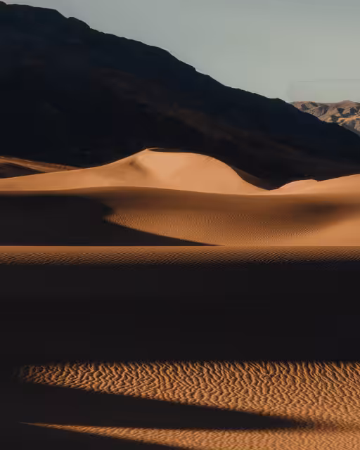 Dune: The Collection #21