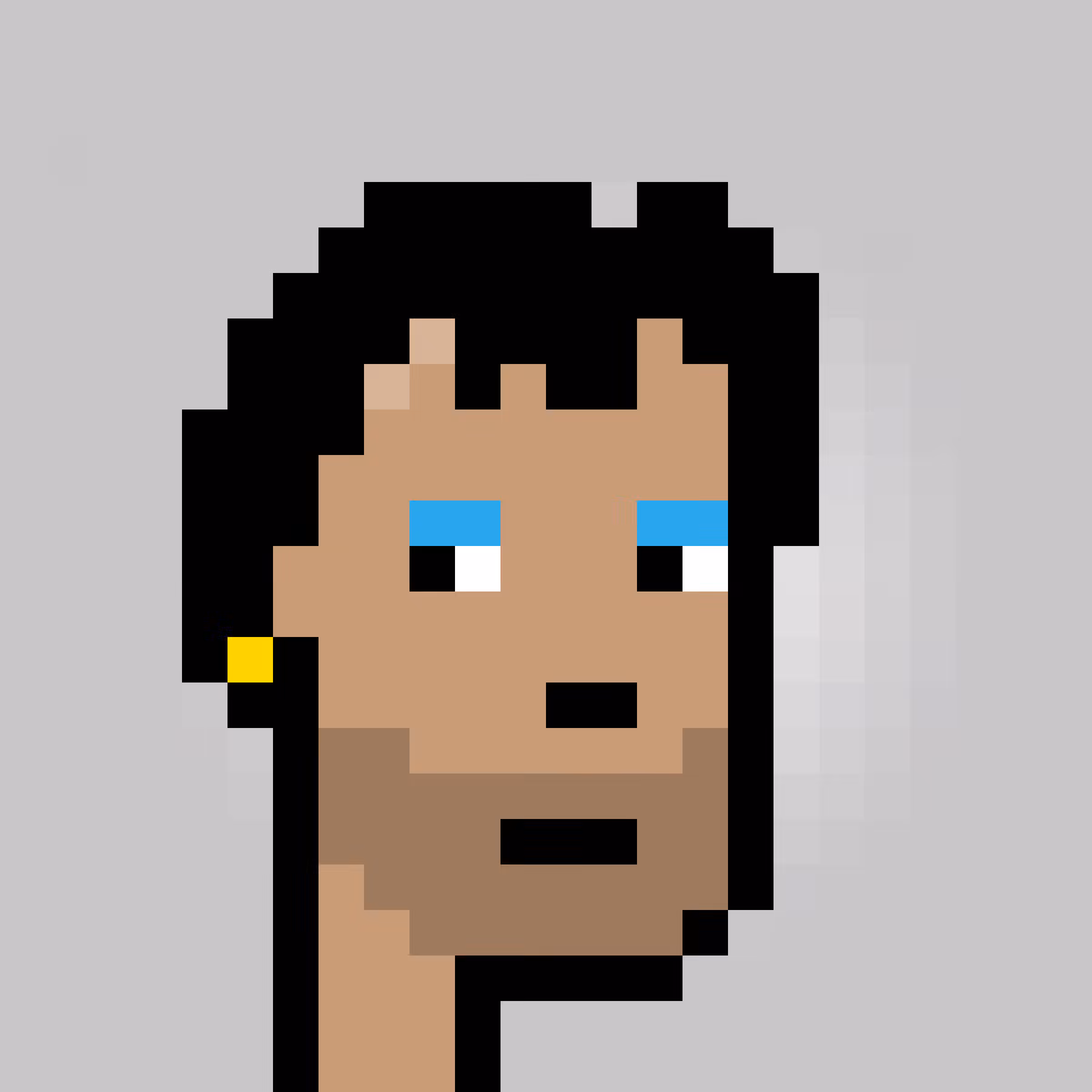 Unofficial Punks V2 #1371