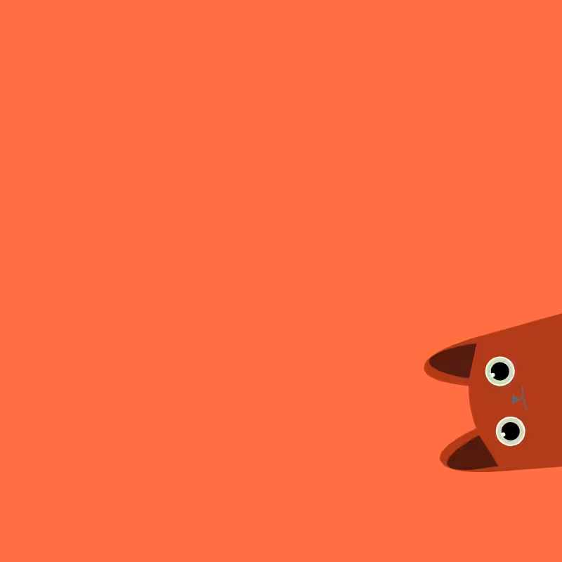 Where is the cat? #25