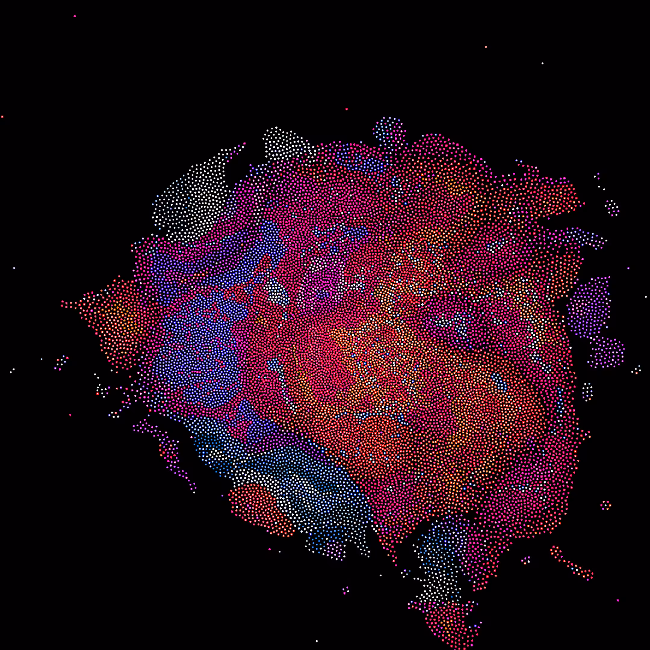 Protozoa 1 f00999