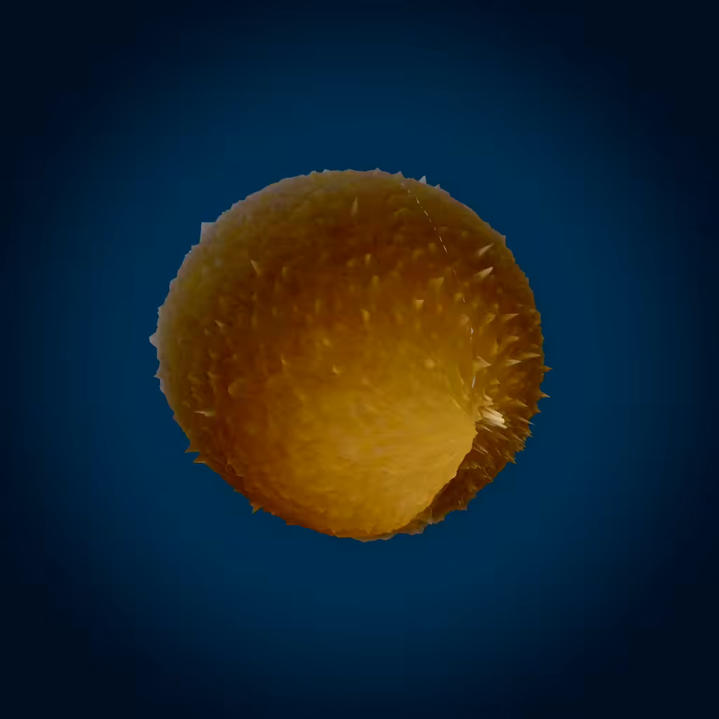Fleshy Bubbles:  Self eating Fleshy Bubble