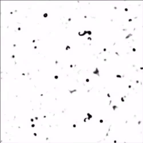 non-equilibrium bubbles: 5