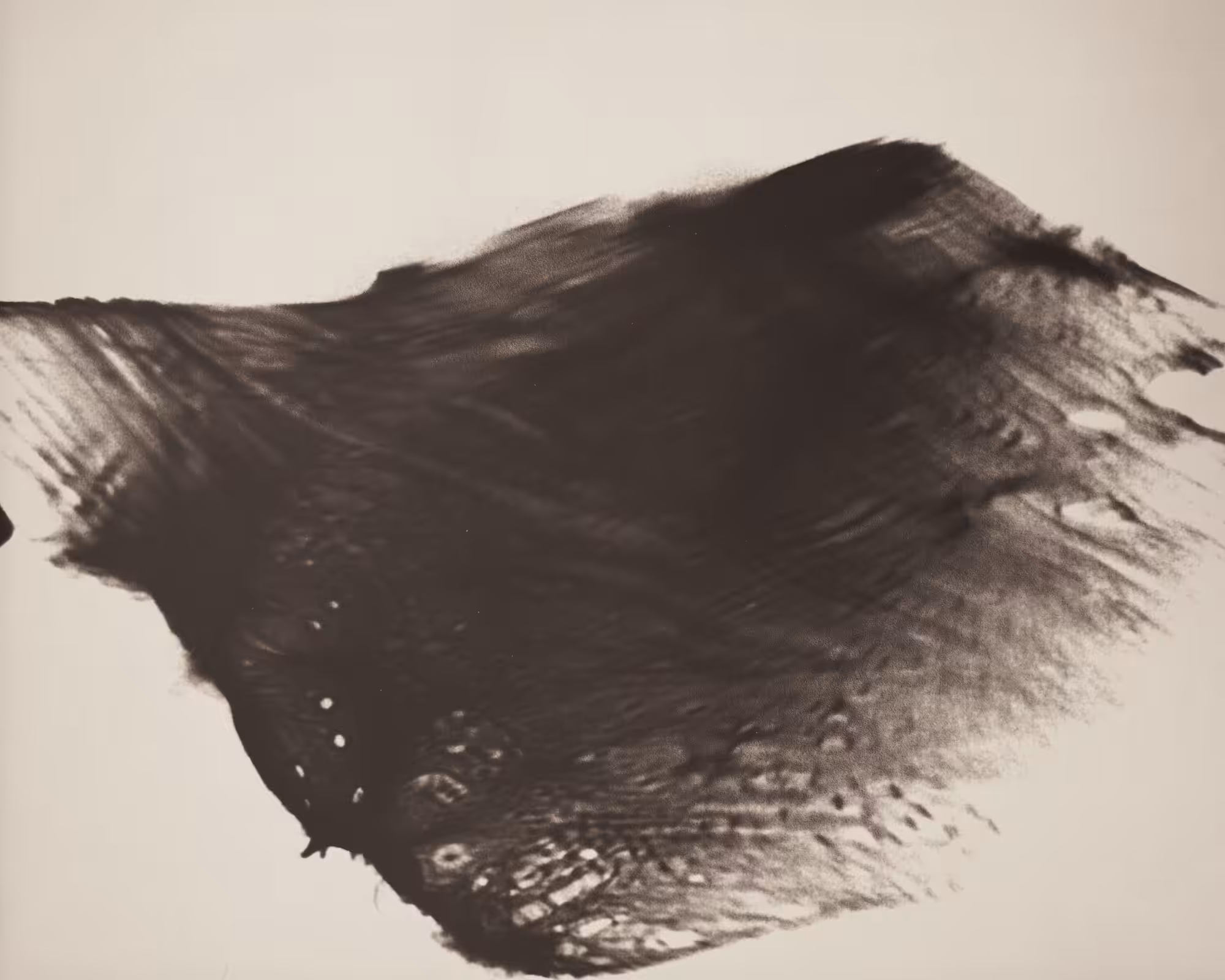 Mingled with Voids // 47-2