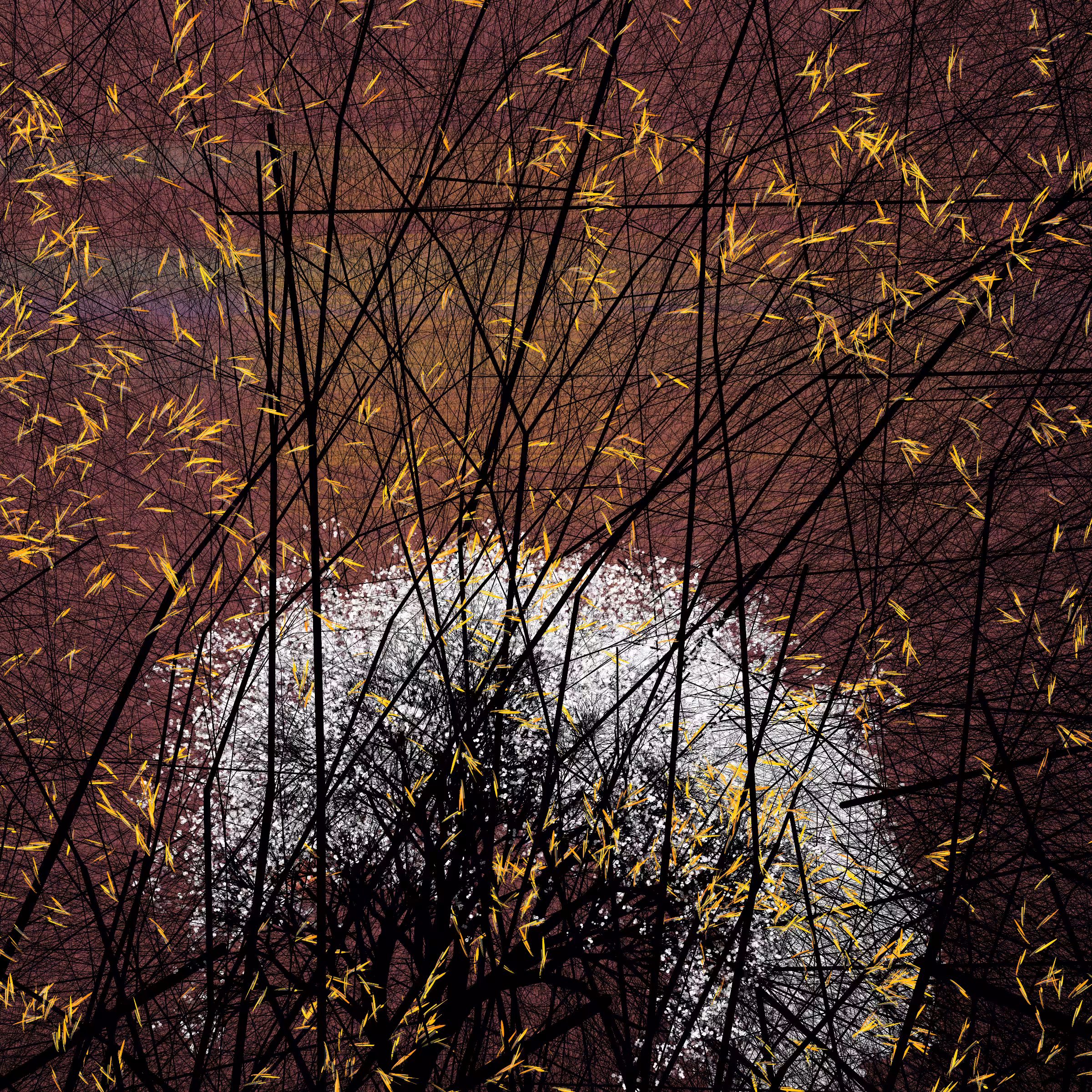 conversation with the wind #94