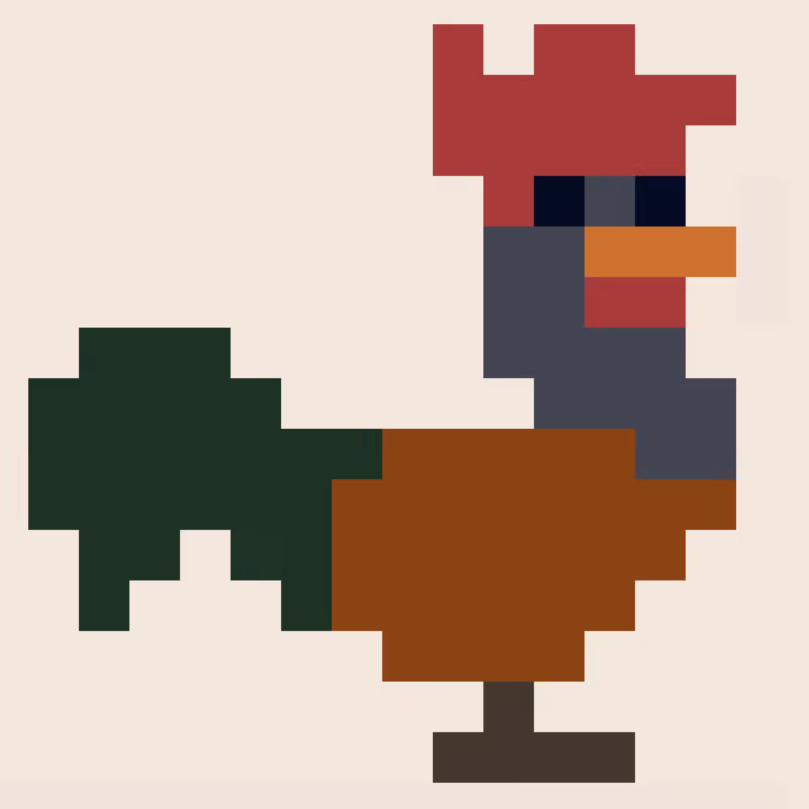 pet