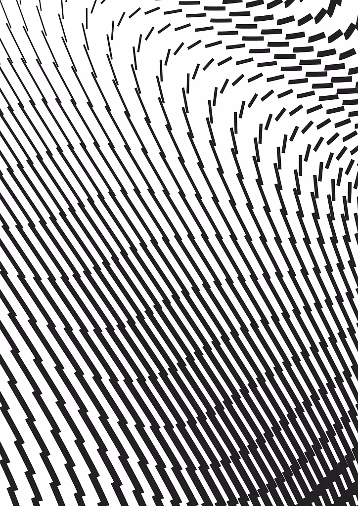 Zebra Glitch III