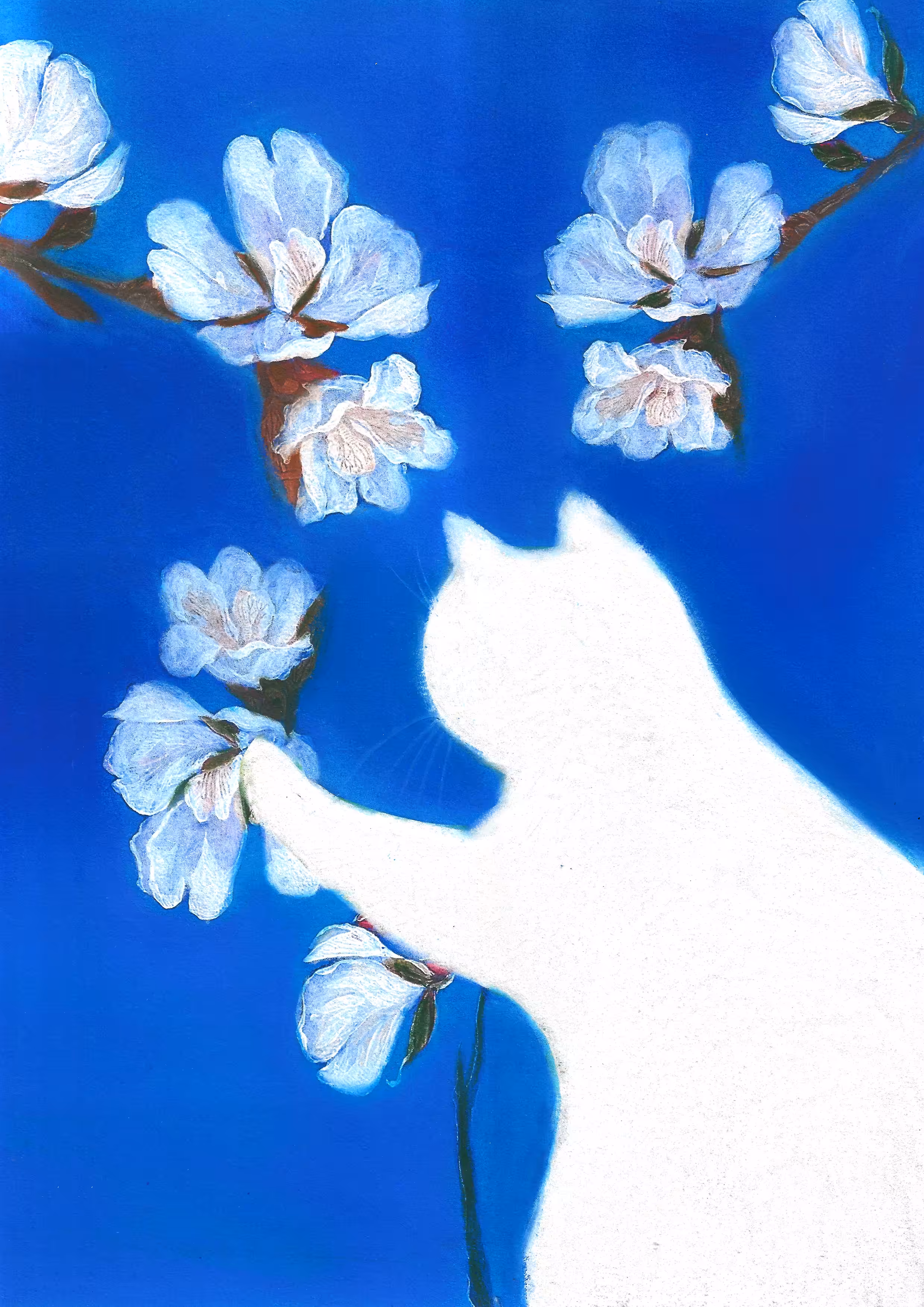 White garden 